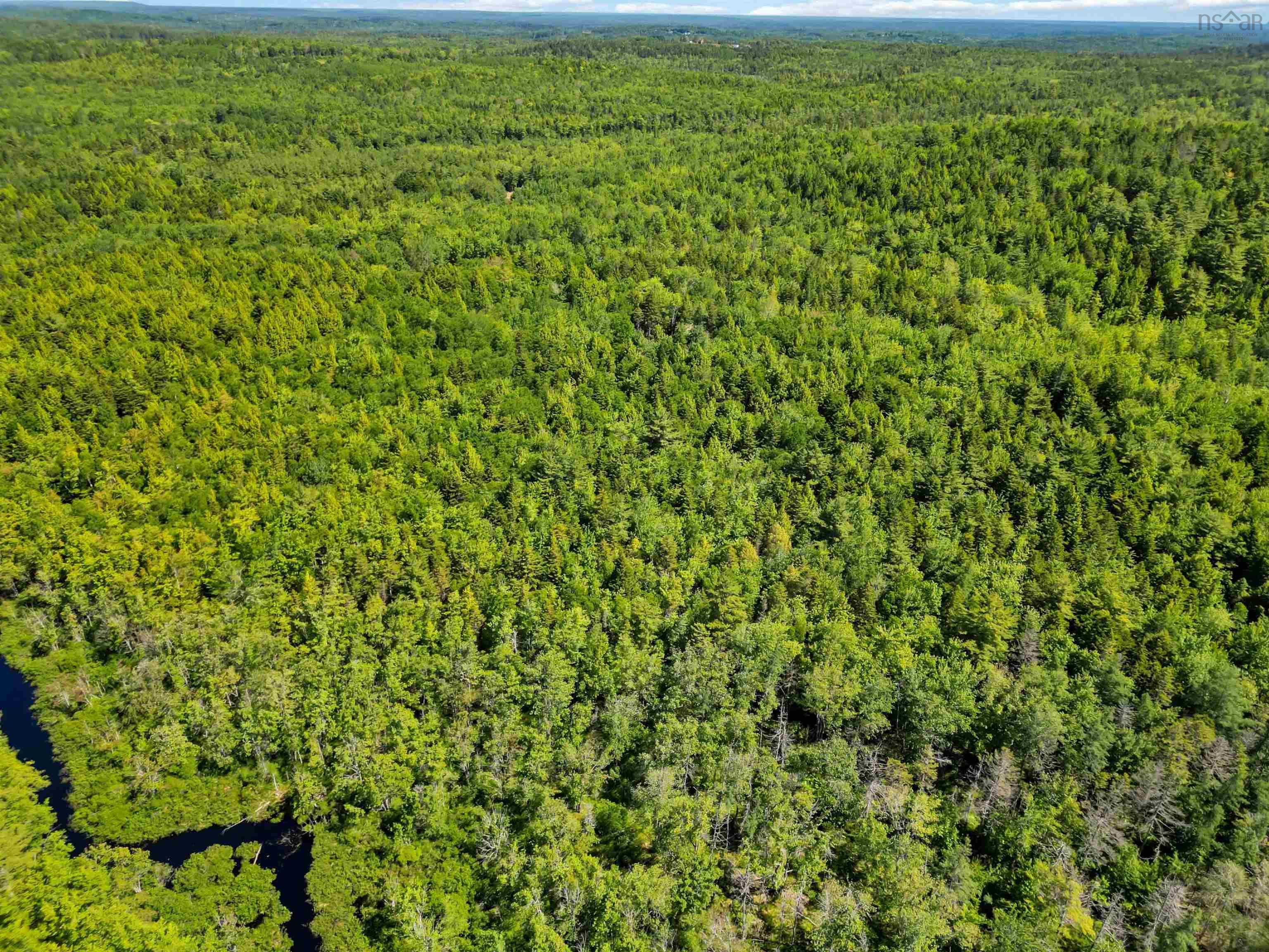 Hirtle Road Lot 71 - Photo 4