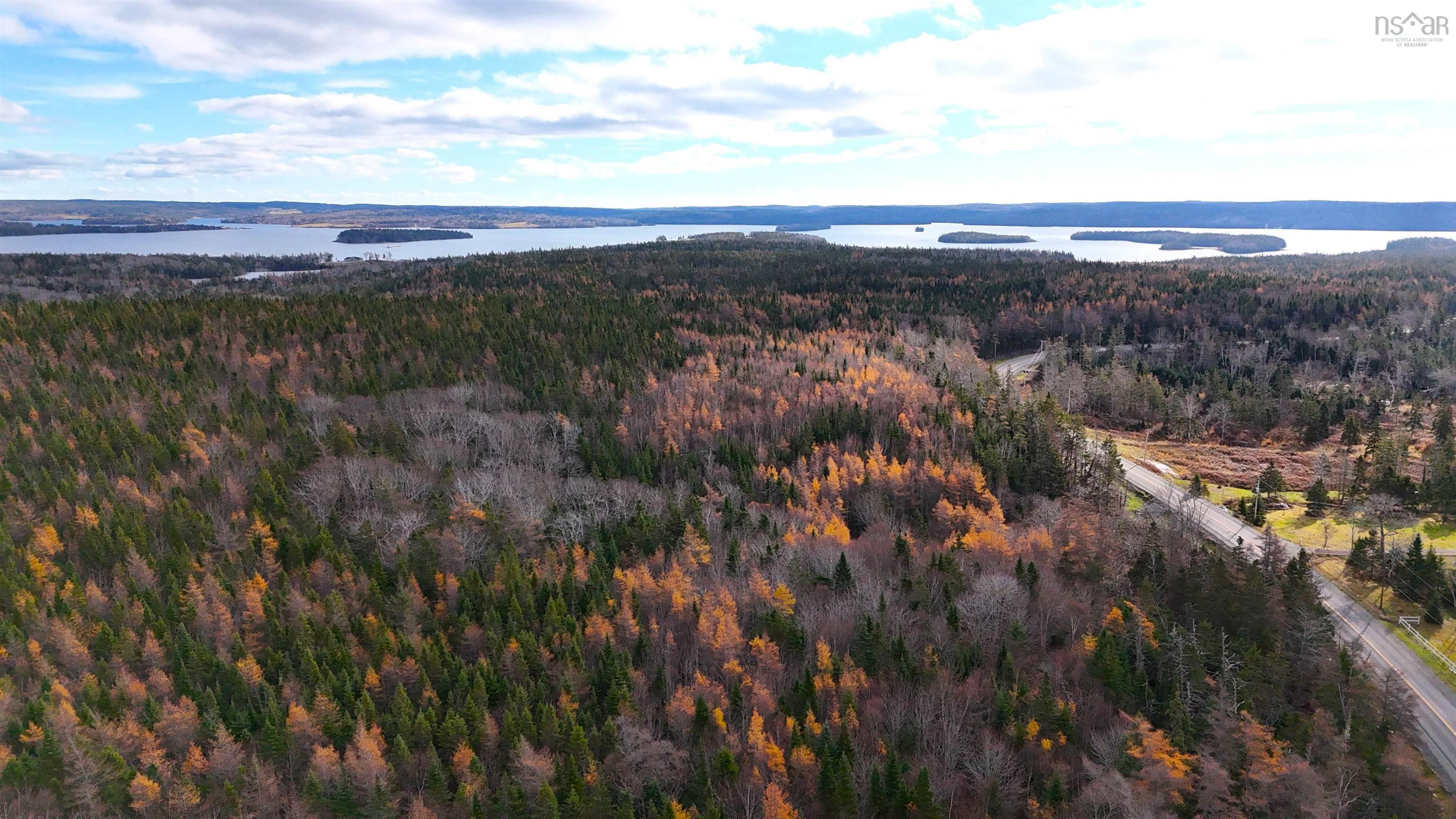 Aerial overview of property's location with a heavily wooded area