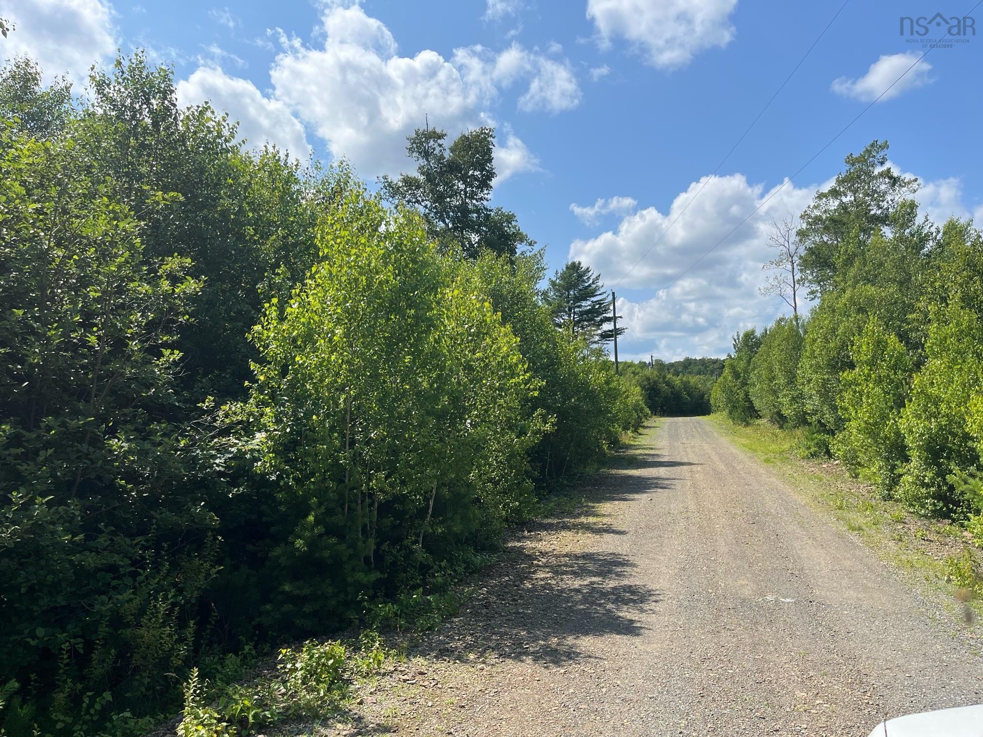 King Fisher Lane Lot 8 - Photo 3