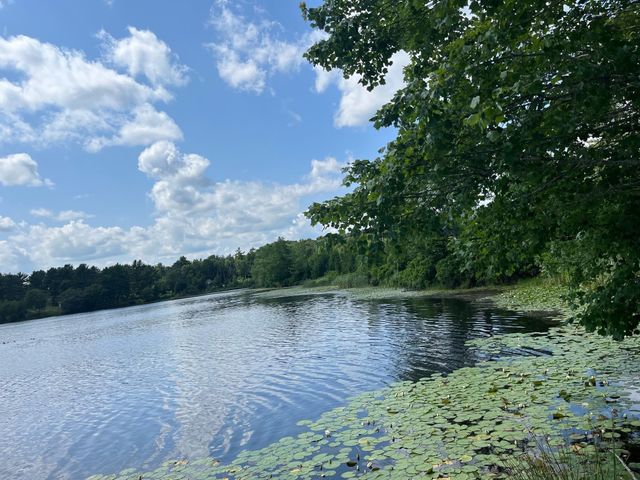 King Fisher Lane Lot 8
