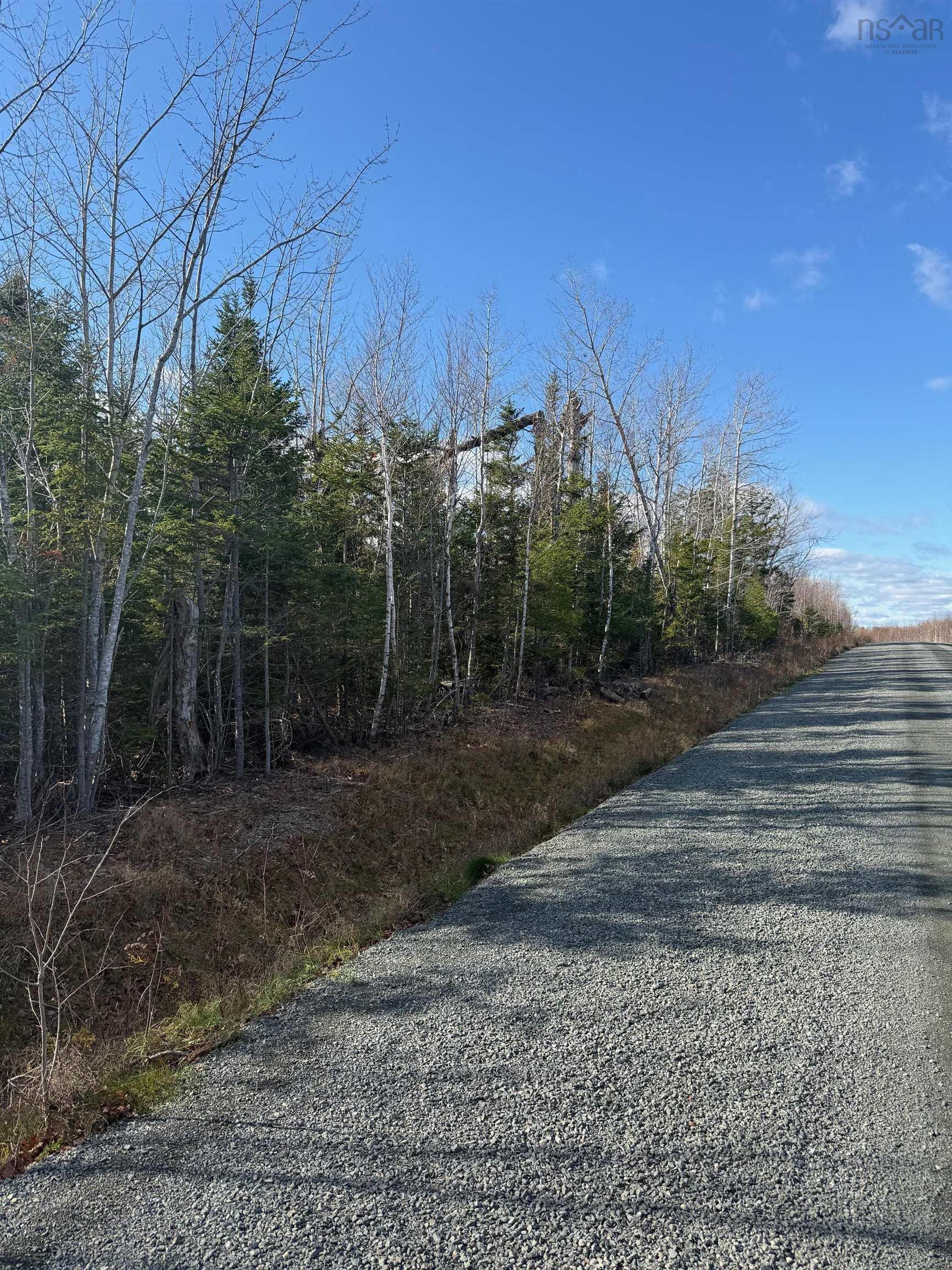View of dirt / gravel road