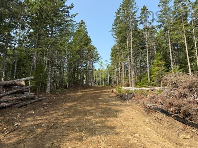 Island View Drive Lot 12 - Photo 2
