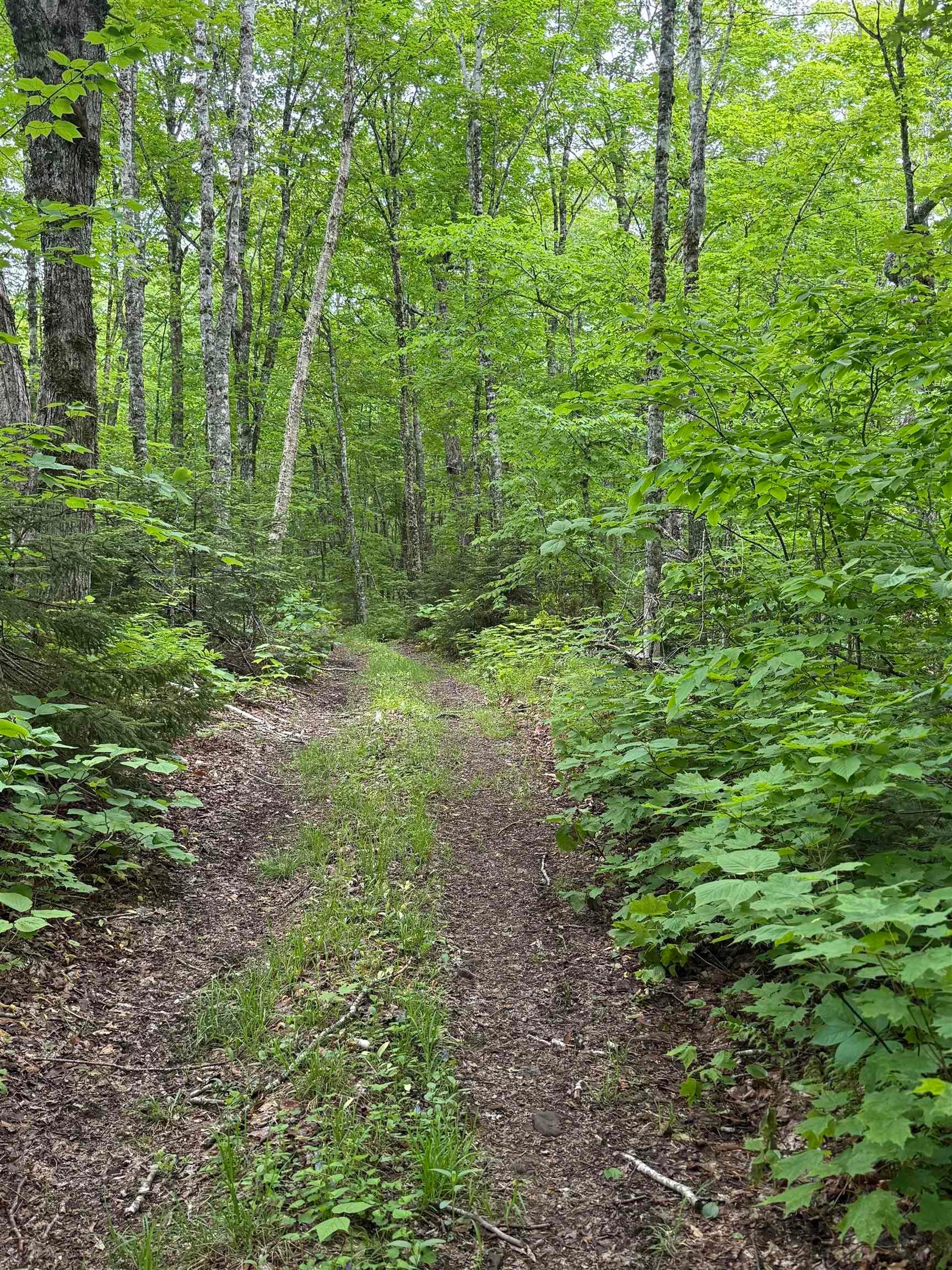 (Pid 20098885) Truro Road Lot - Photo 3