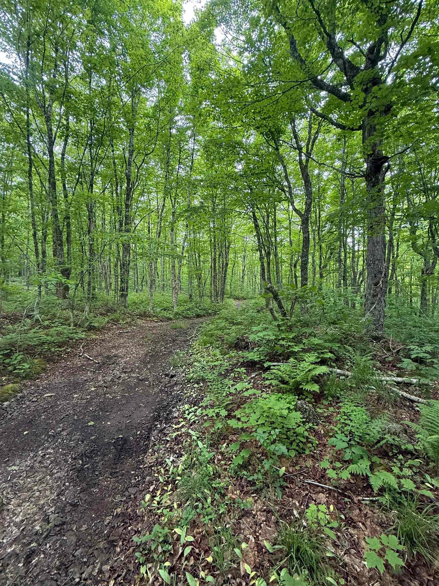 (Pid 20098885) Truro Road Lot - Photo 4