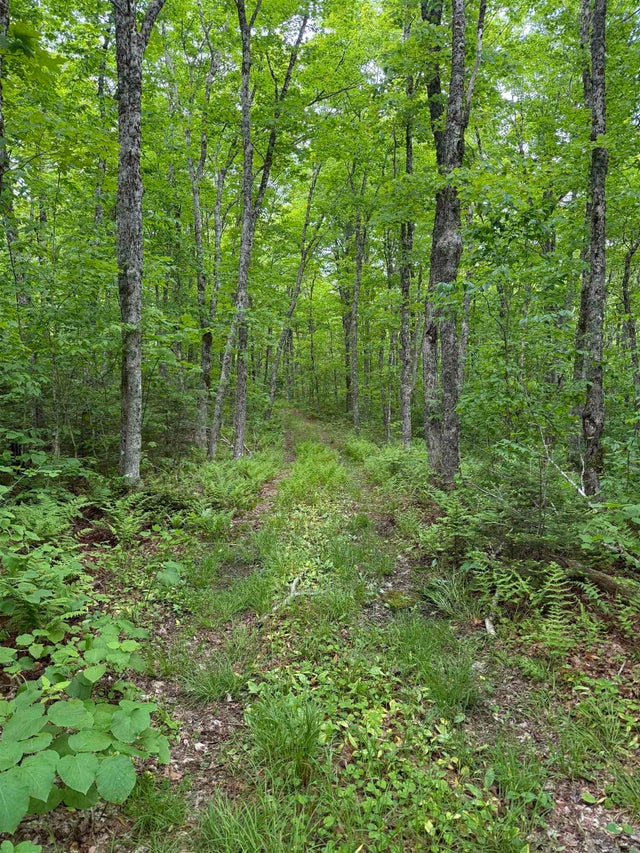 (Pid 20098885) Truro Road Lot
