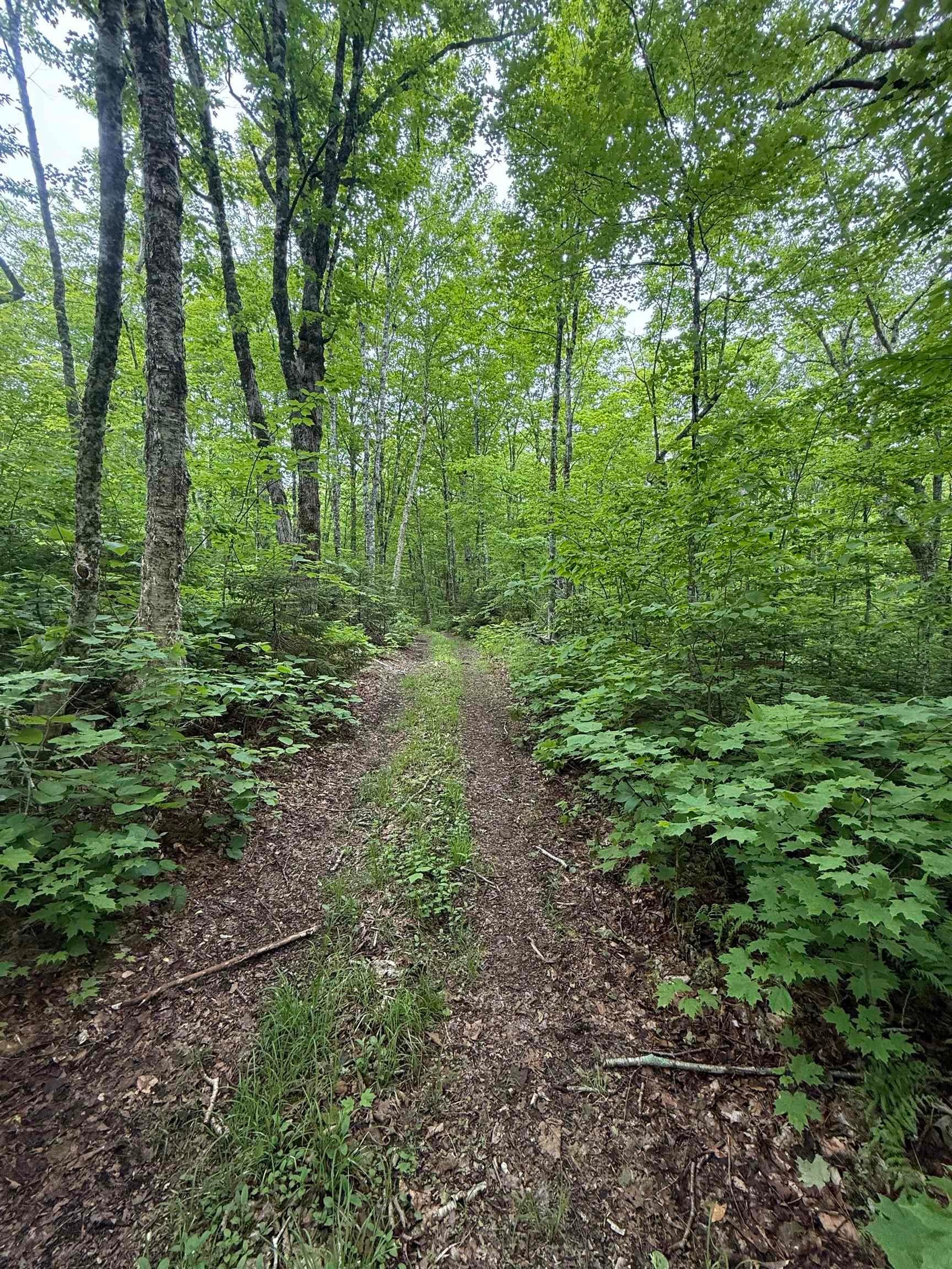 (Pid 20098885) Truro Road Lot - Photo 2