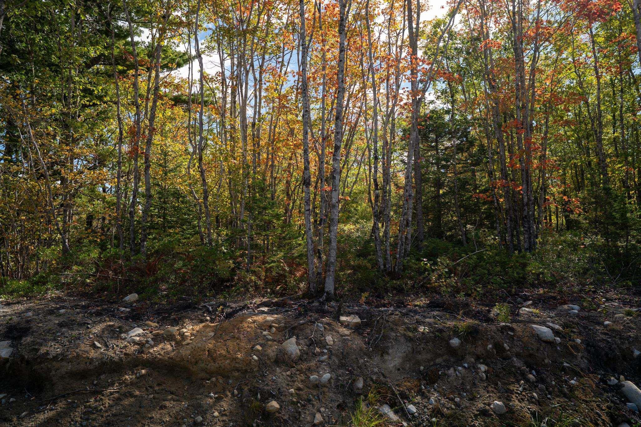 Photo 1 of 5 — Morton Drive 88, Liverpool, NS B0T 1K0