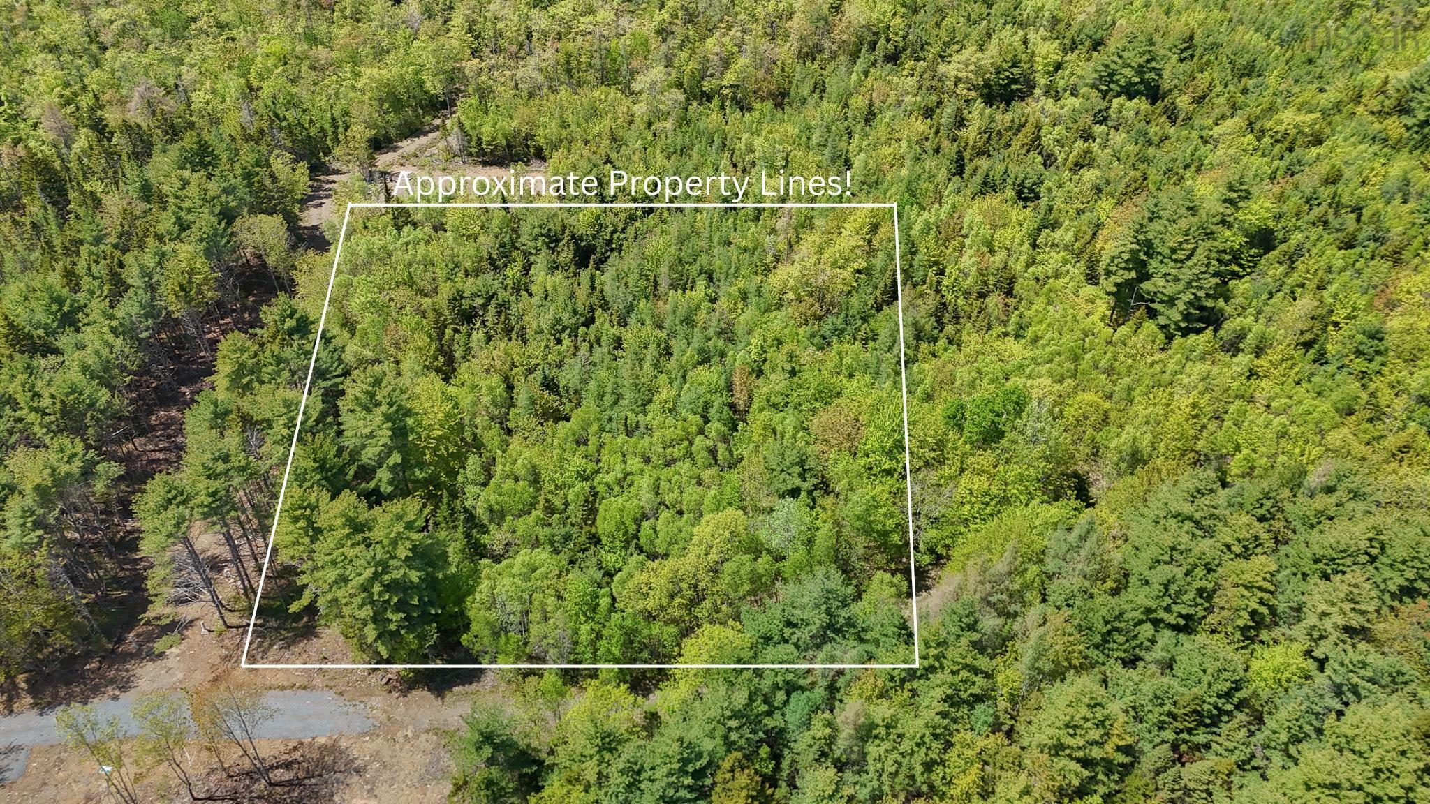View of property location with property parcel outlined and a heavily wooded area