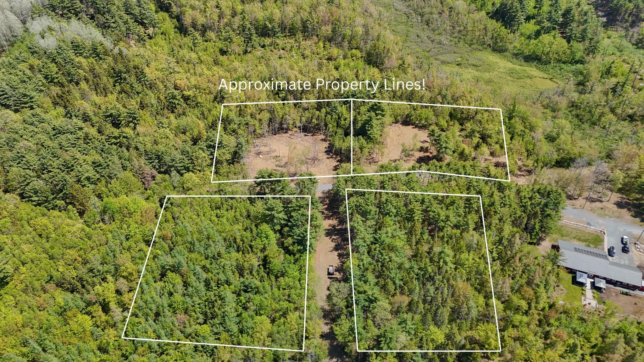 Aerial view of property's location with a forest and property boundaries highlighted