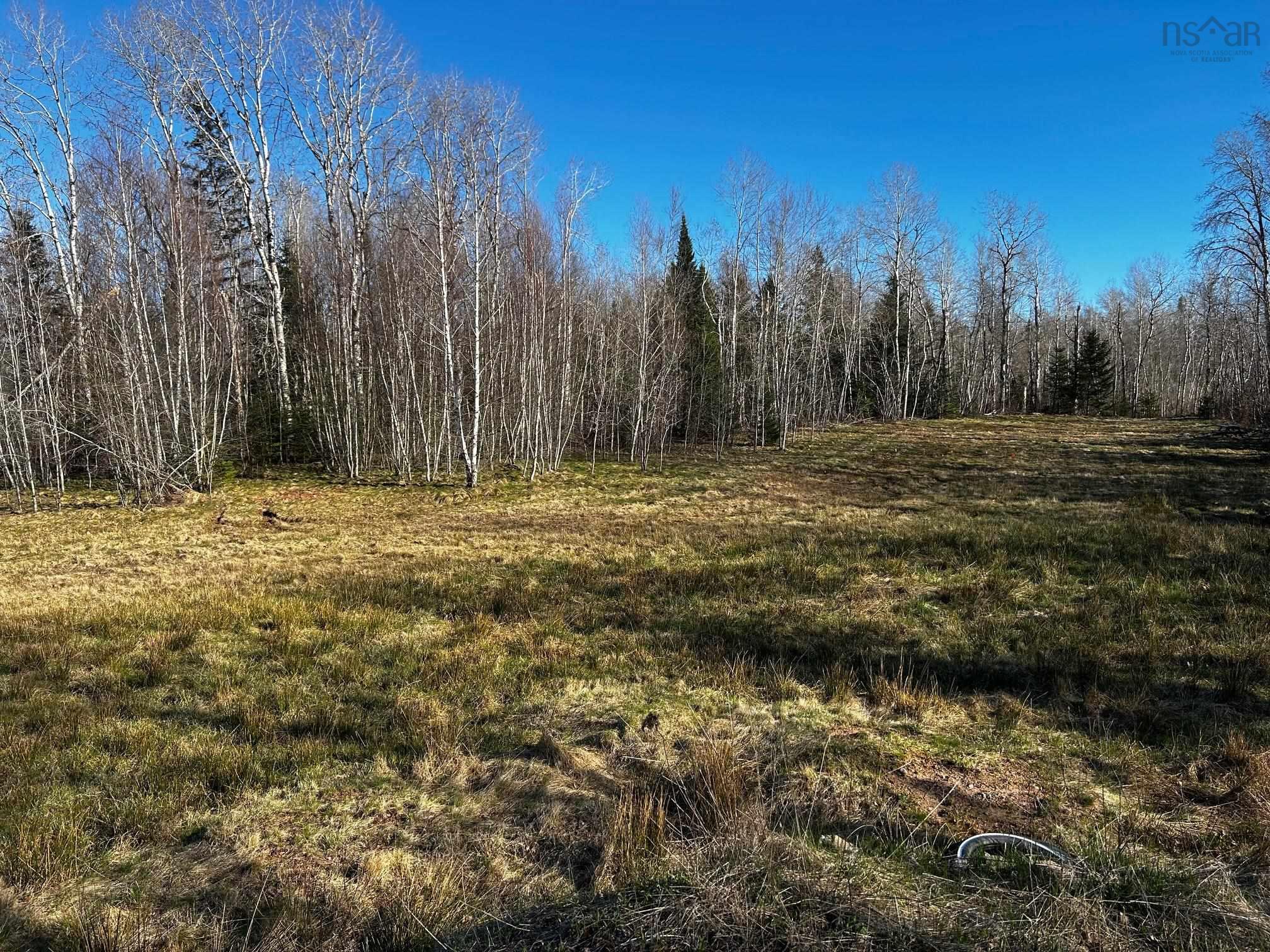 View of wooded area