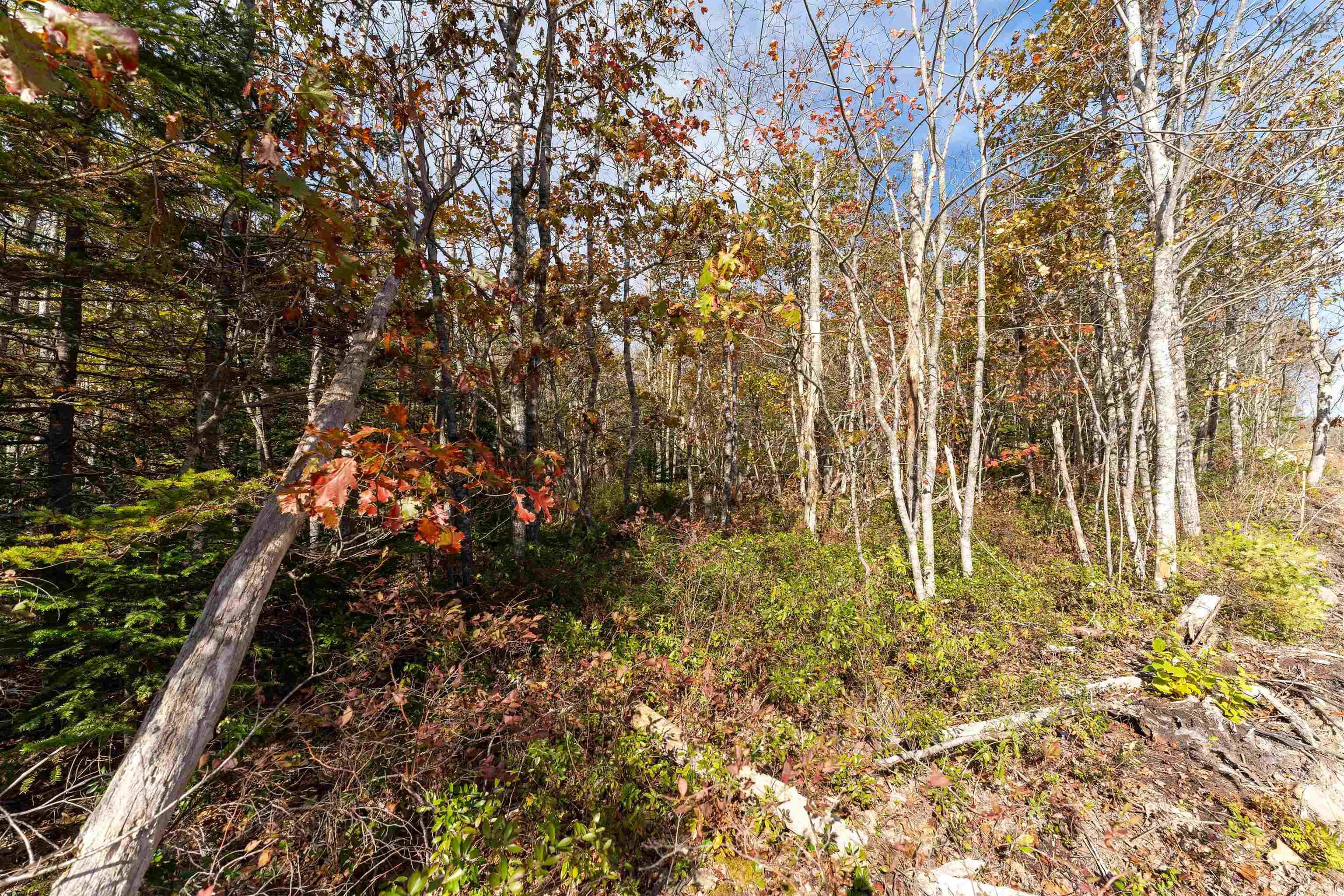 Photo 1 of 10 — Morton Drive 65, Liverpool, NS B0T 1K0
