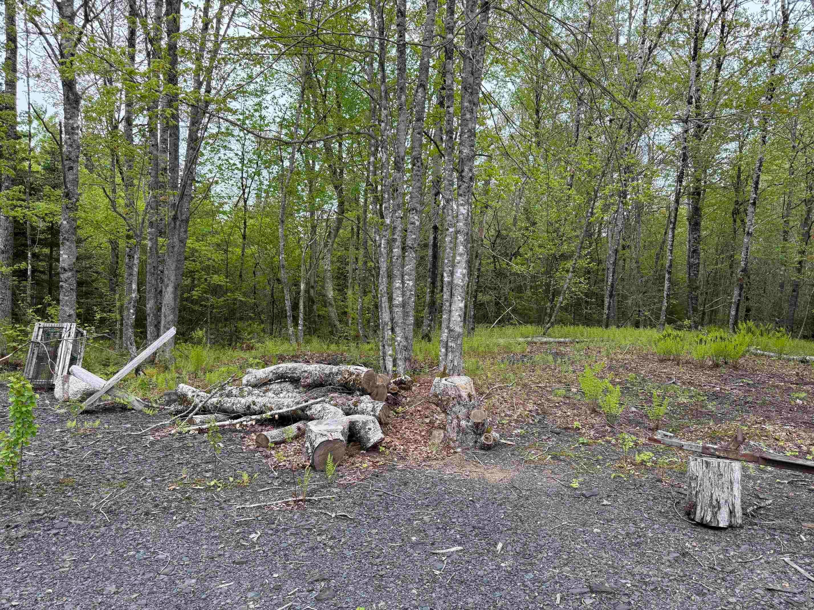 4702 Woodstock Road - Photo 4