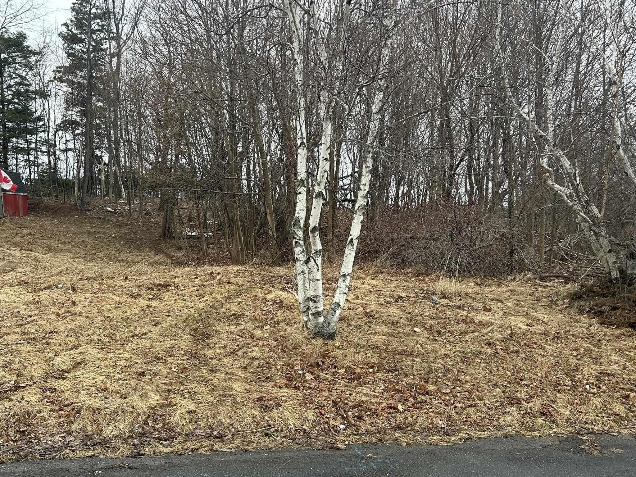 Photo 1 of 2 — 511 Birch Street Lot 1, New Glasgow, NS B2H 1Y2