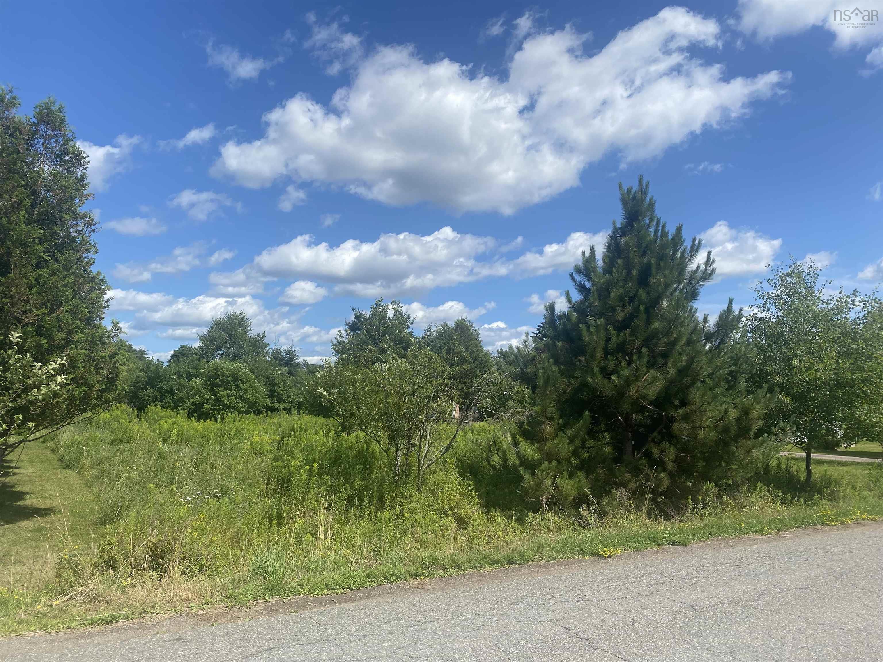 Photo 1 of 5 — Old Court House Branch Road Lot 24, Murray Siding, NS B6L 3X4