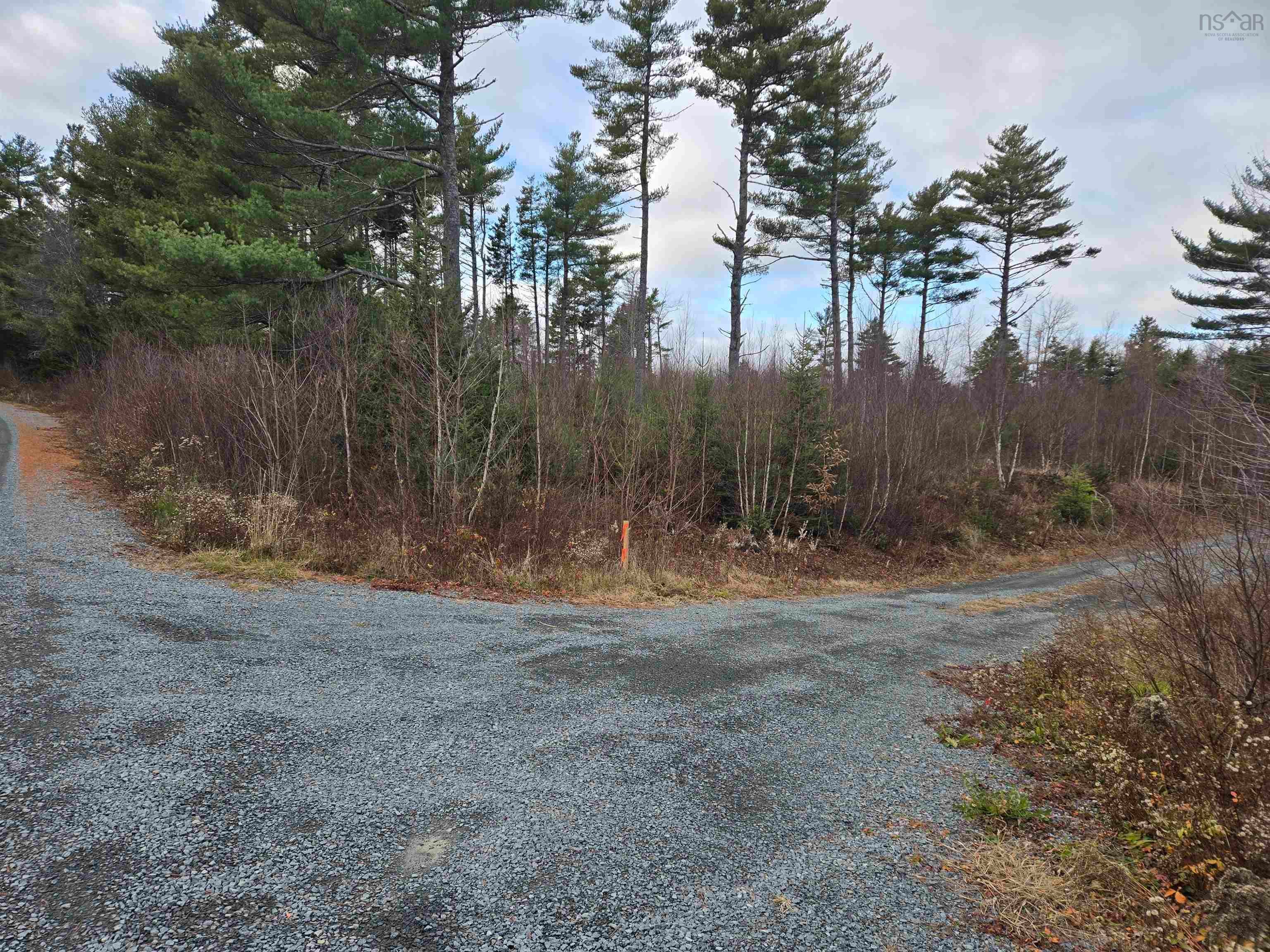 Baker Road Lot P-1 - Photo 2