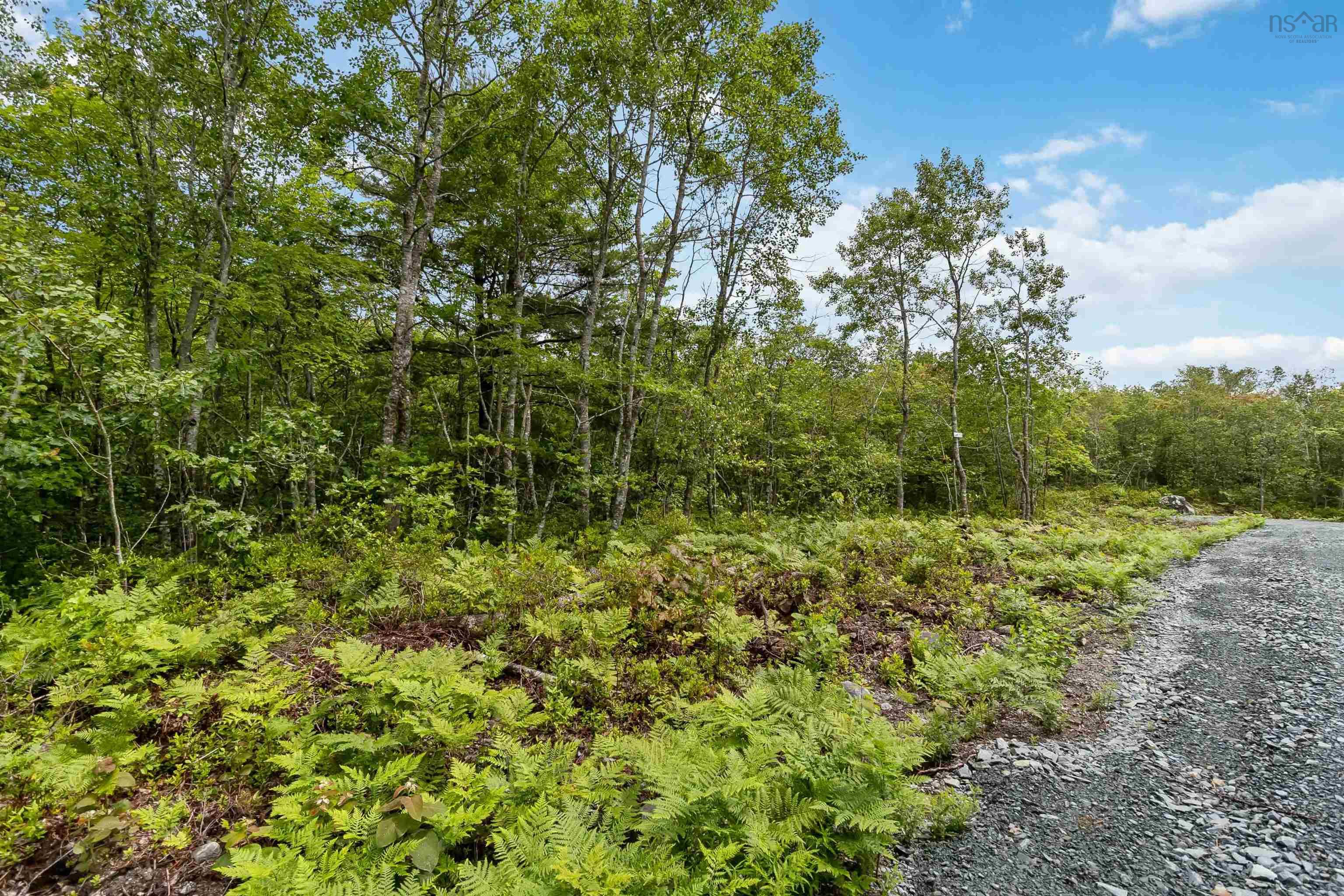 Maple Ridge Drive Lot 7 - Photo 3
