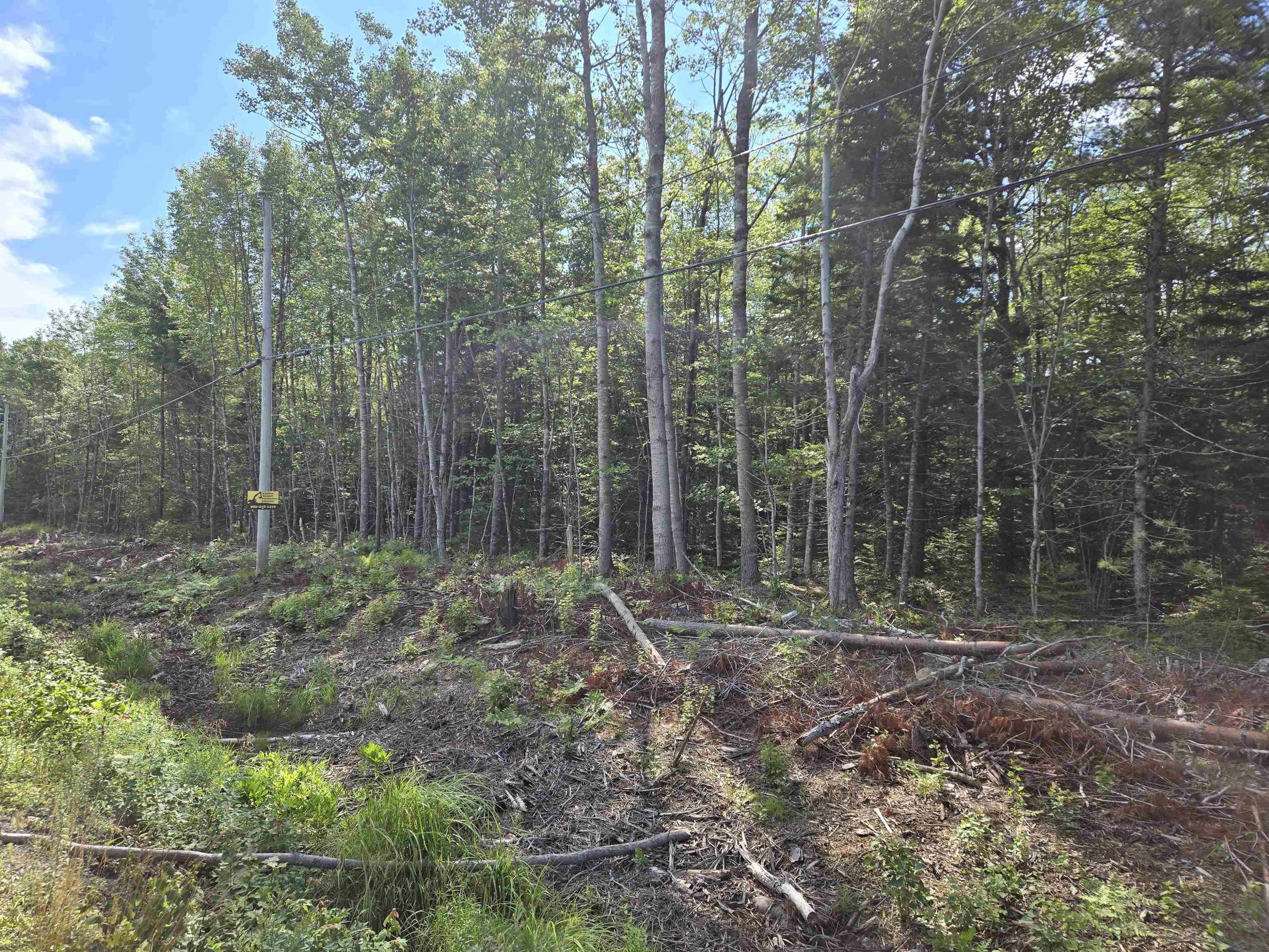 Conquerall Road Lot 1 - Photo 2