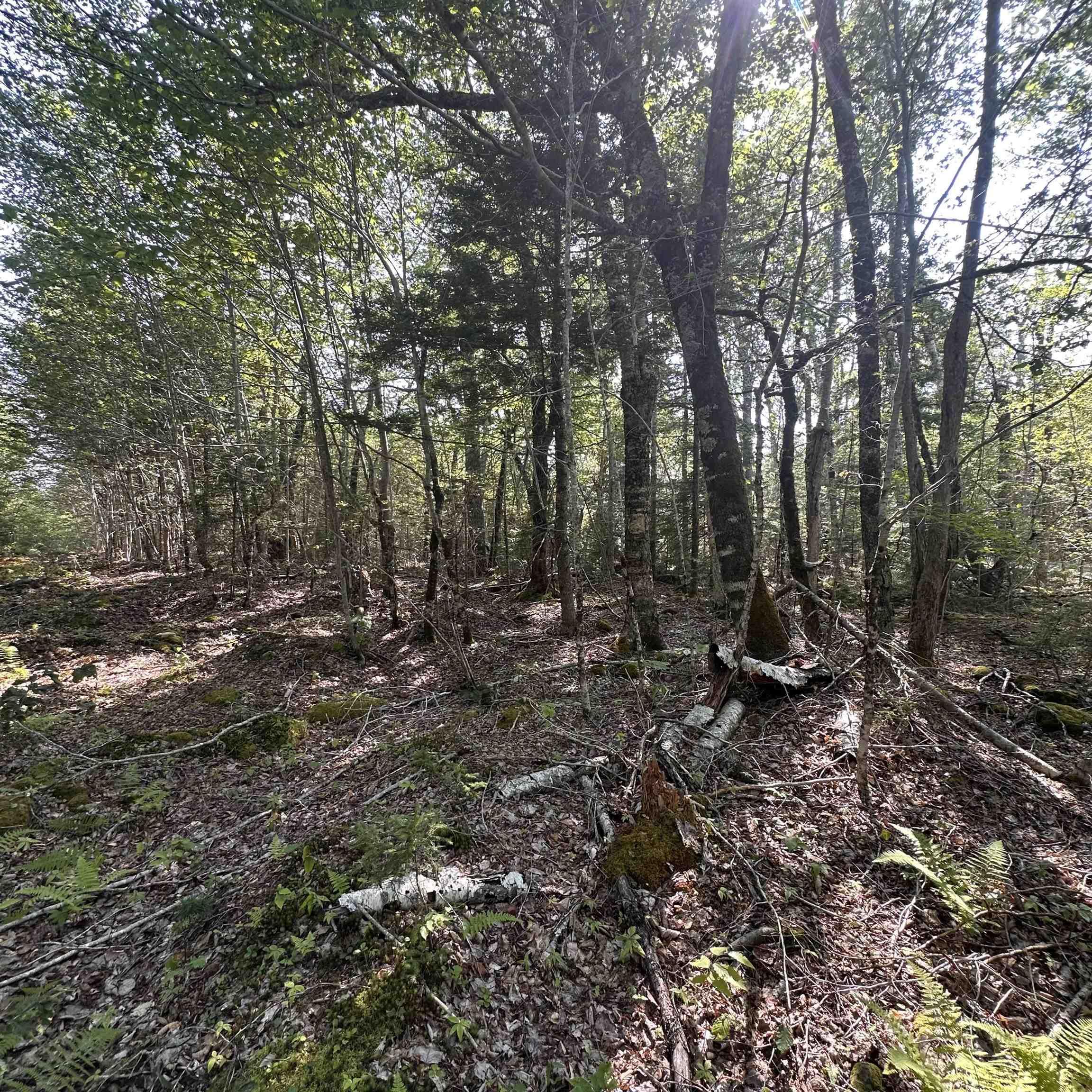 Island View Terrace Lot 49 - Photo 4