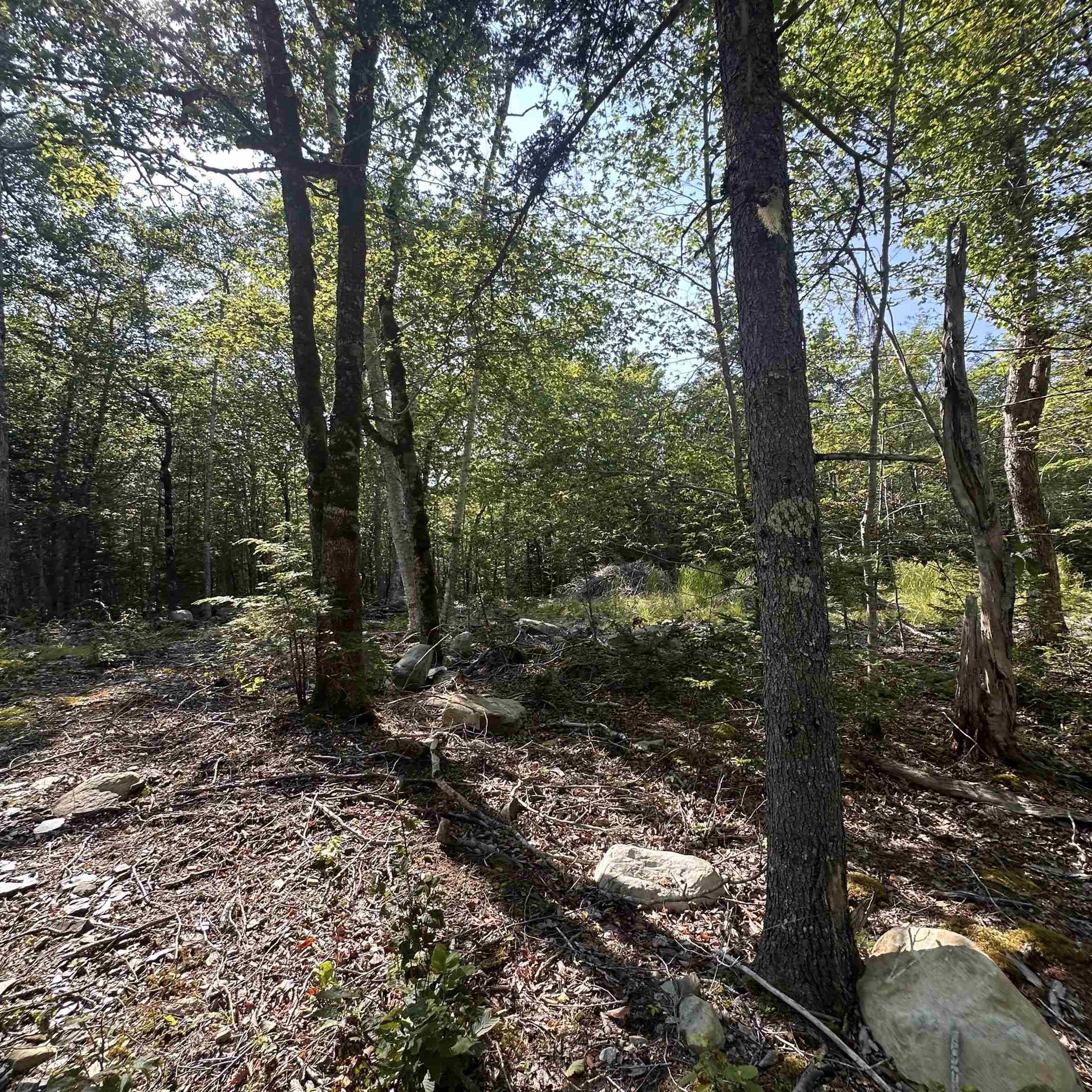 Island View Terrace Lot 49 - Photo 2
