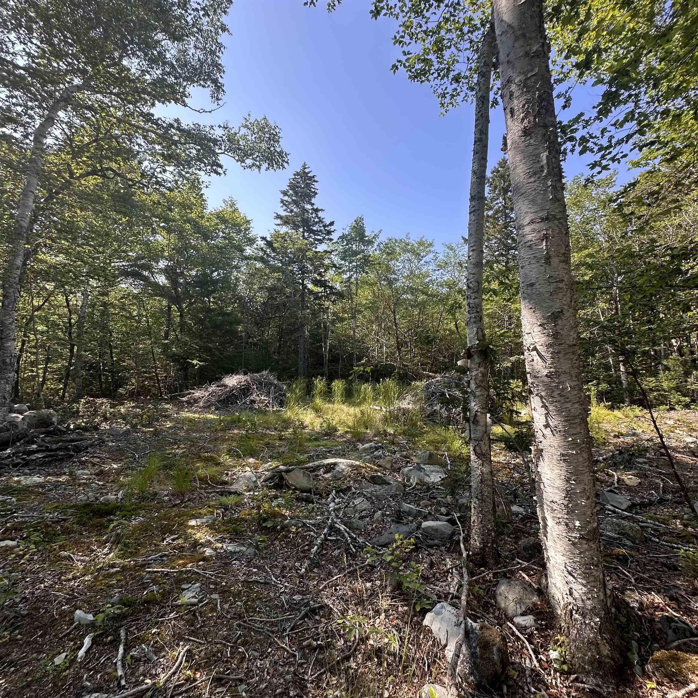 Island View Terrace Lot 49 - Photo 3