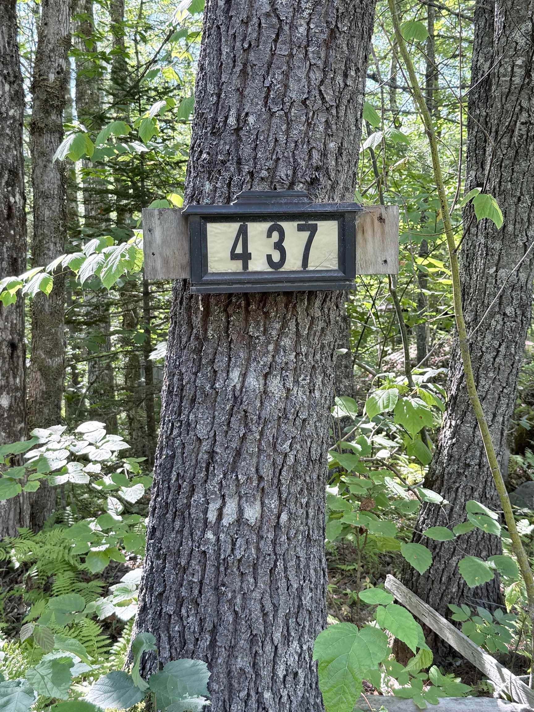 437 Baker Point Road - Photo 2