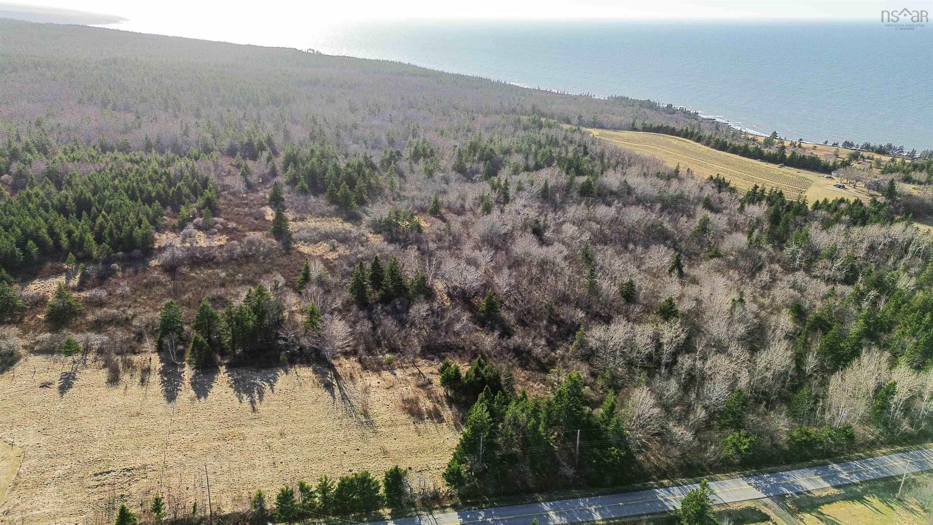 Bird's eye view with a forest view