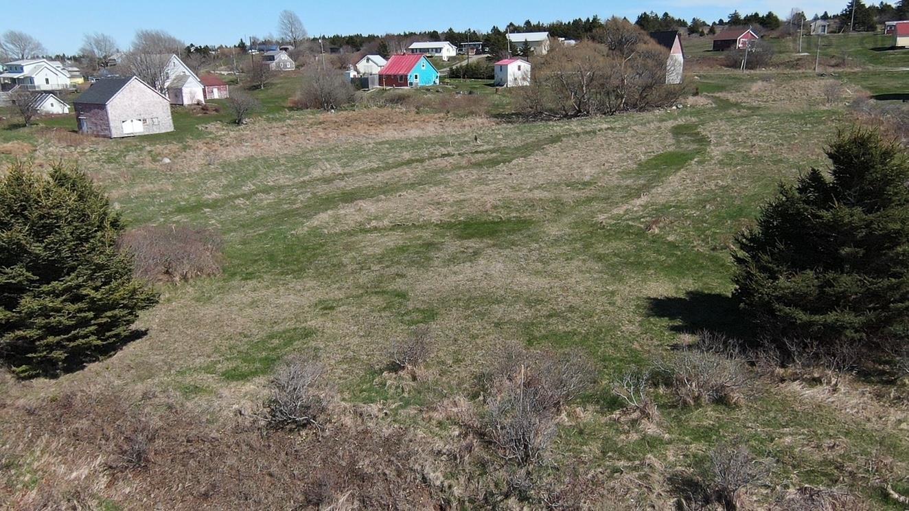 (Pid 60458973) Big Tancook Island Road Lot - Photo 4