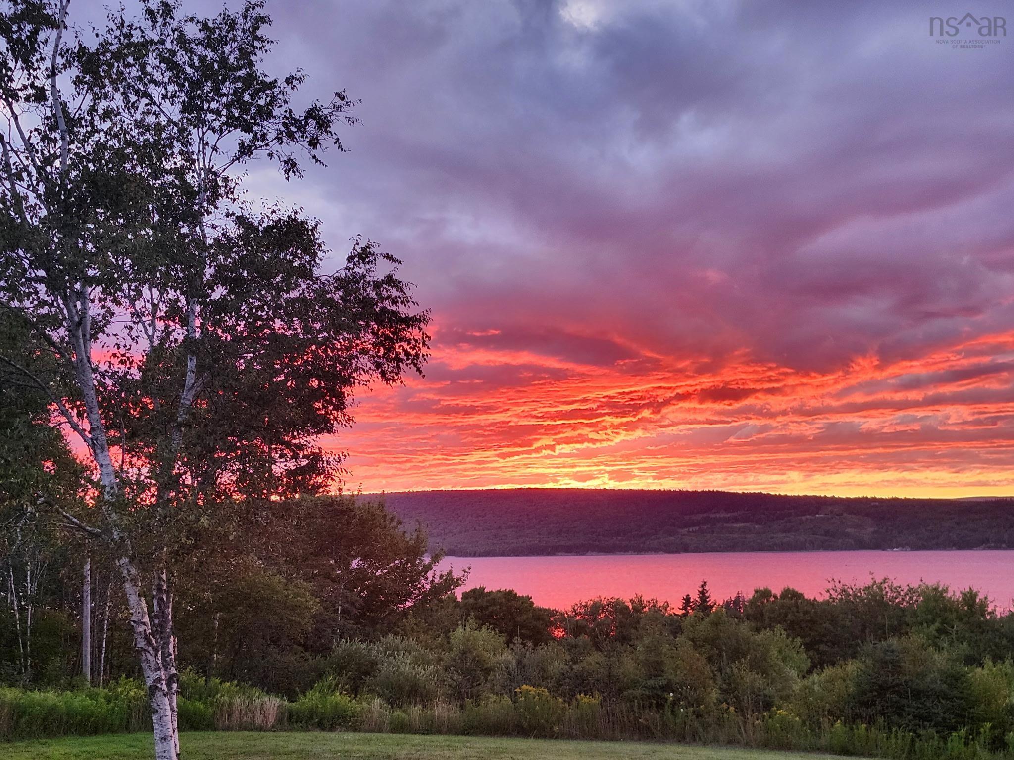 Expansive water scenery framed by a vibrant sunset, accented by foreground birch trees