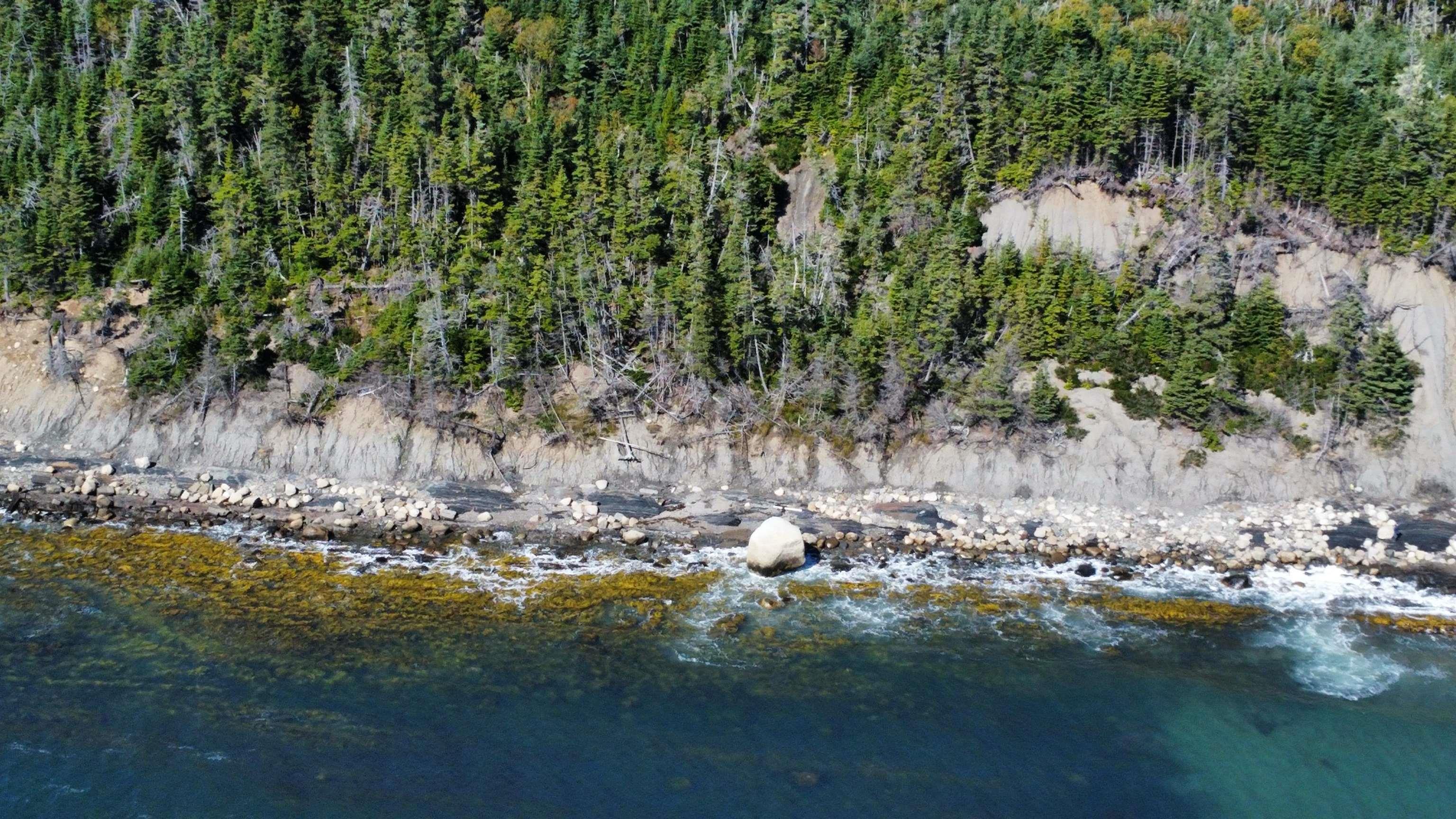 (Pid 60465853) Lower Lahave Road Lot - Photo 4