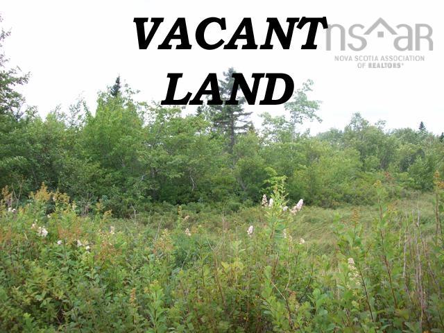 Photo 1 of 1 — (Pid 70103726) Mill Village East Road Lot, Mill Village, NS B0J 2H0