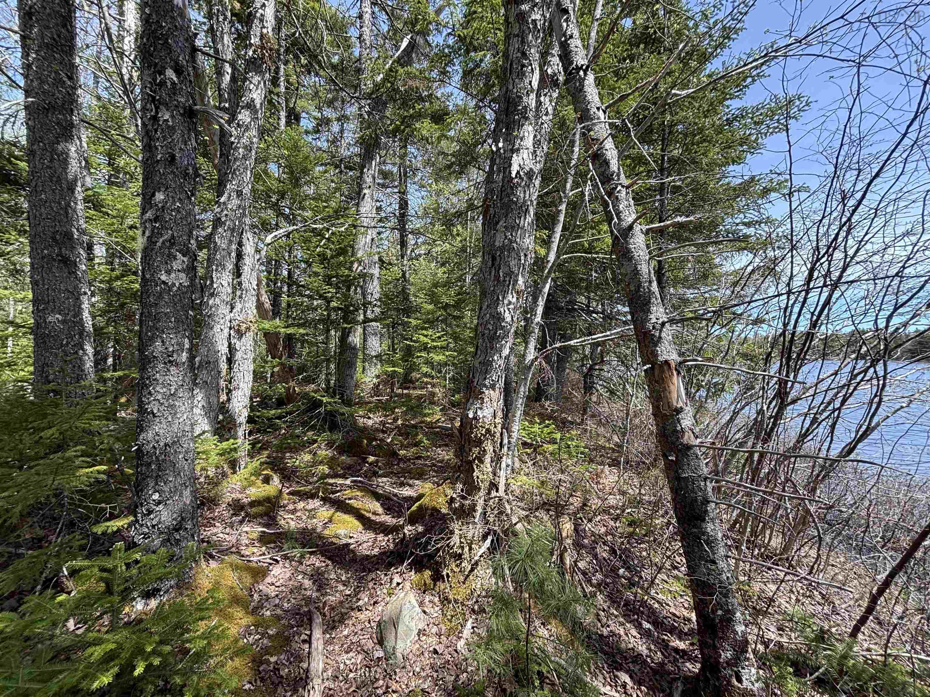 Highway 325 Lot 6-23 - Photo 3