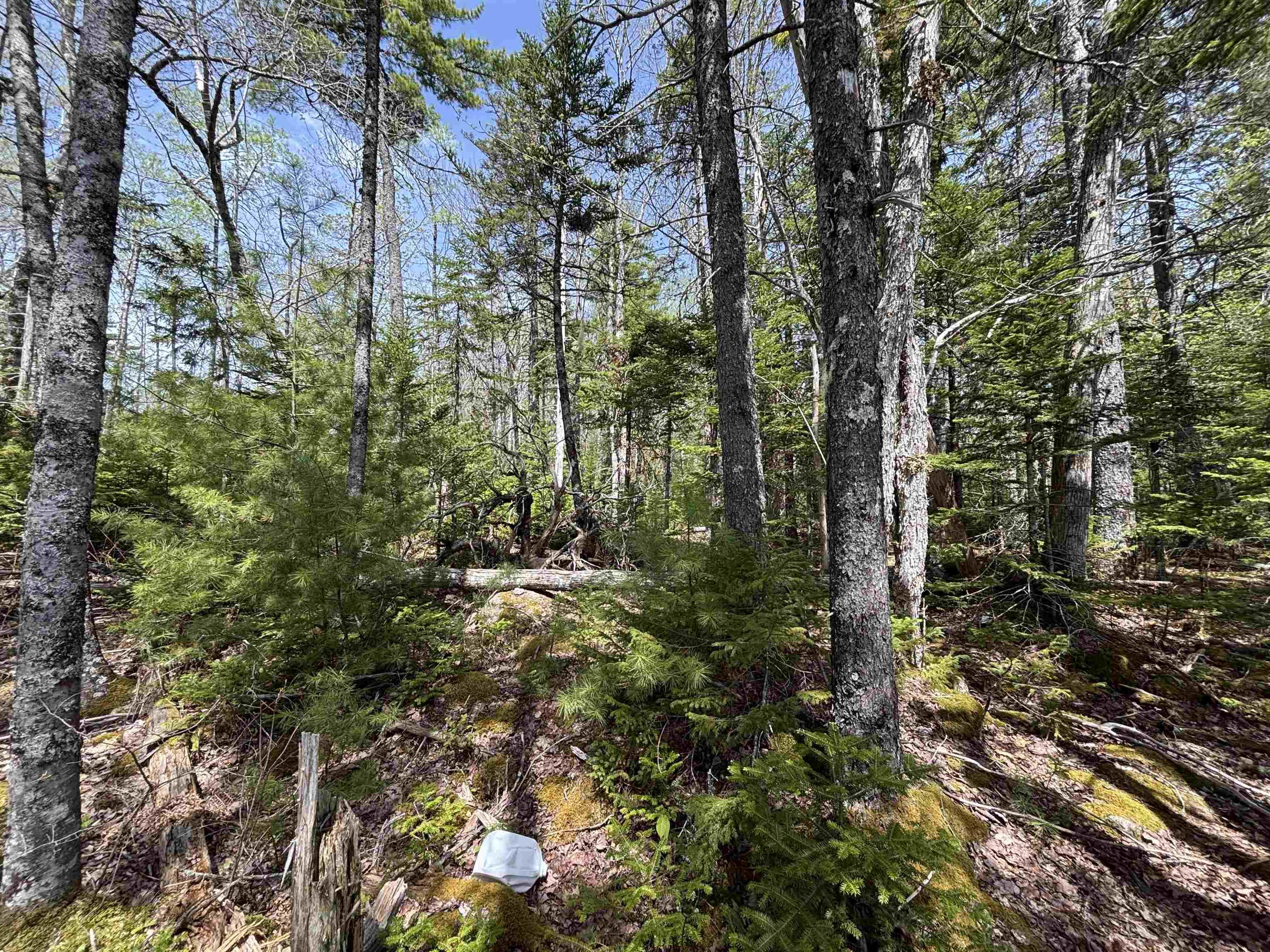 Highway 325 Lot 6-23 - Photo 4