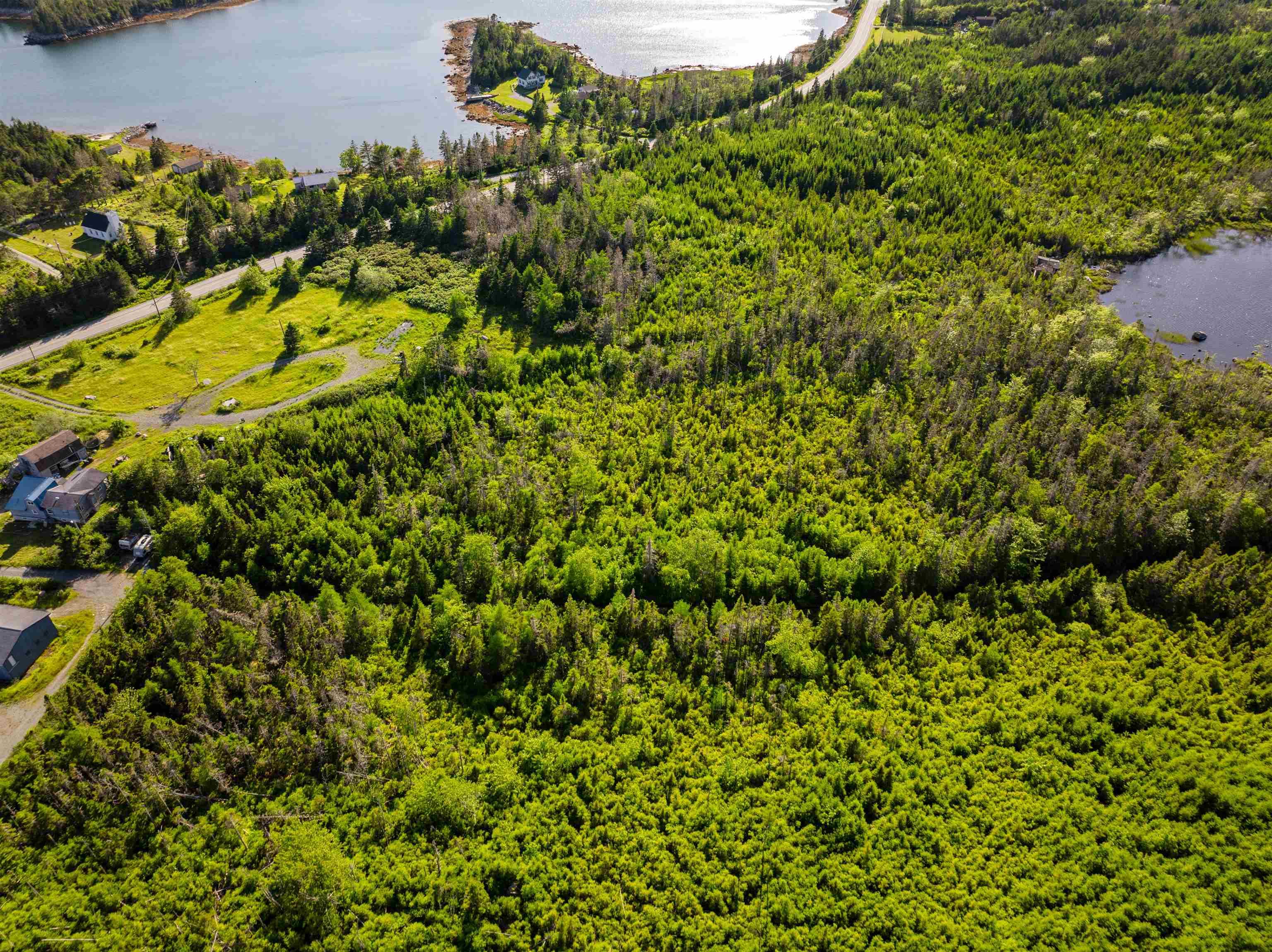 Bird's eye view of a nearby body of water and a forest