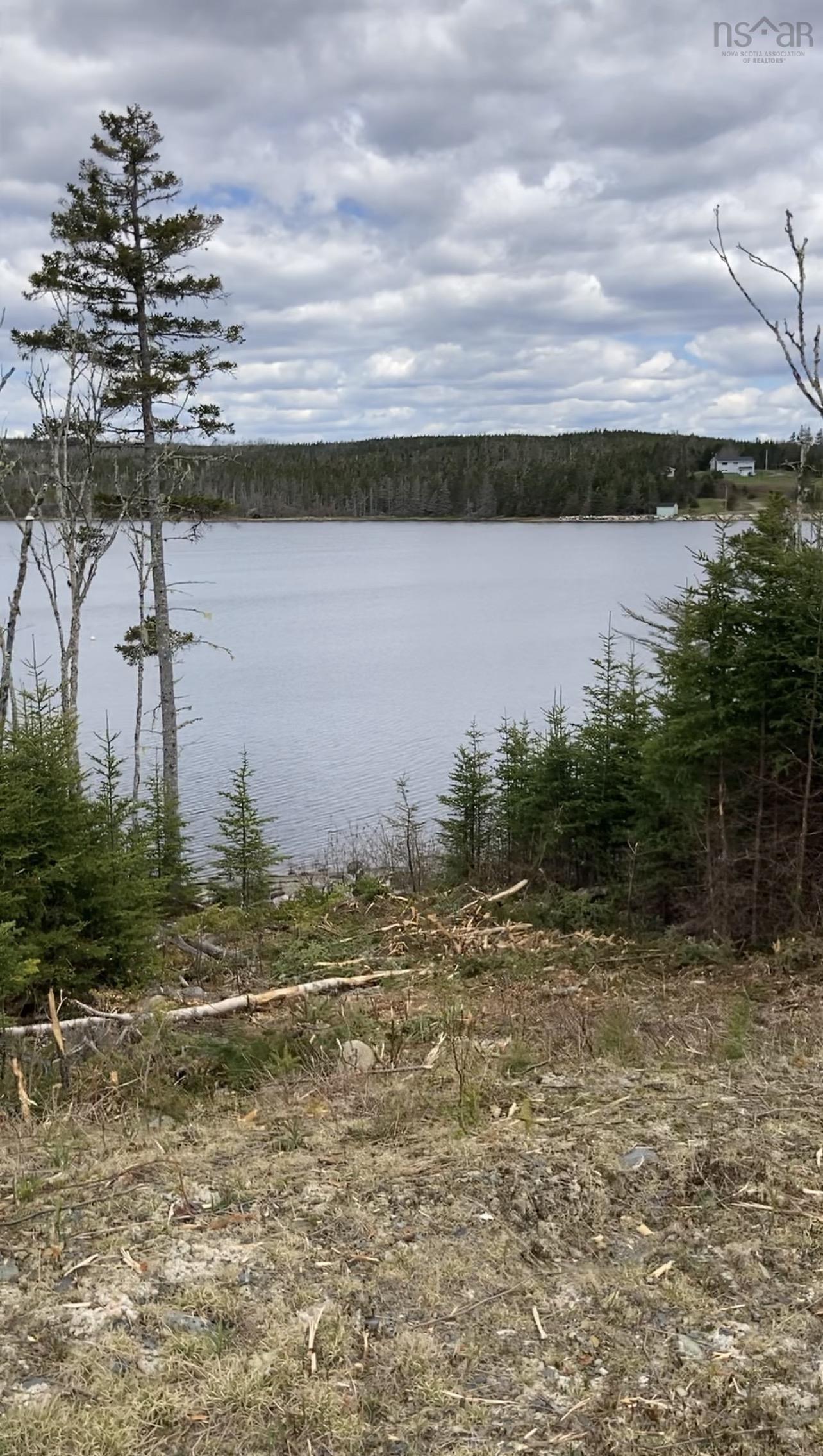 Water view featuring a heavily wooded area
