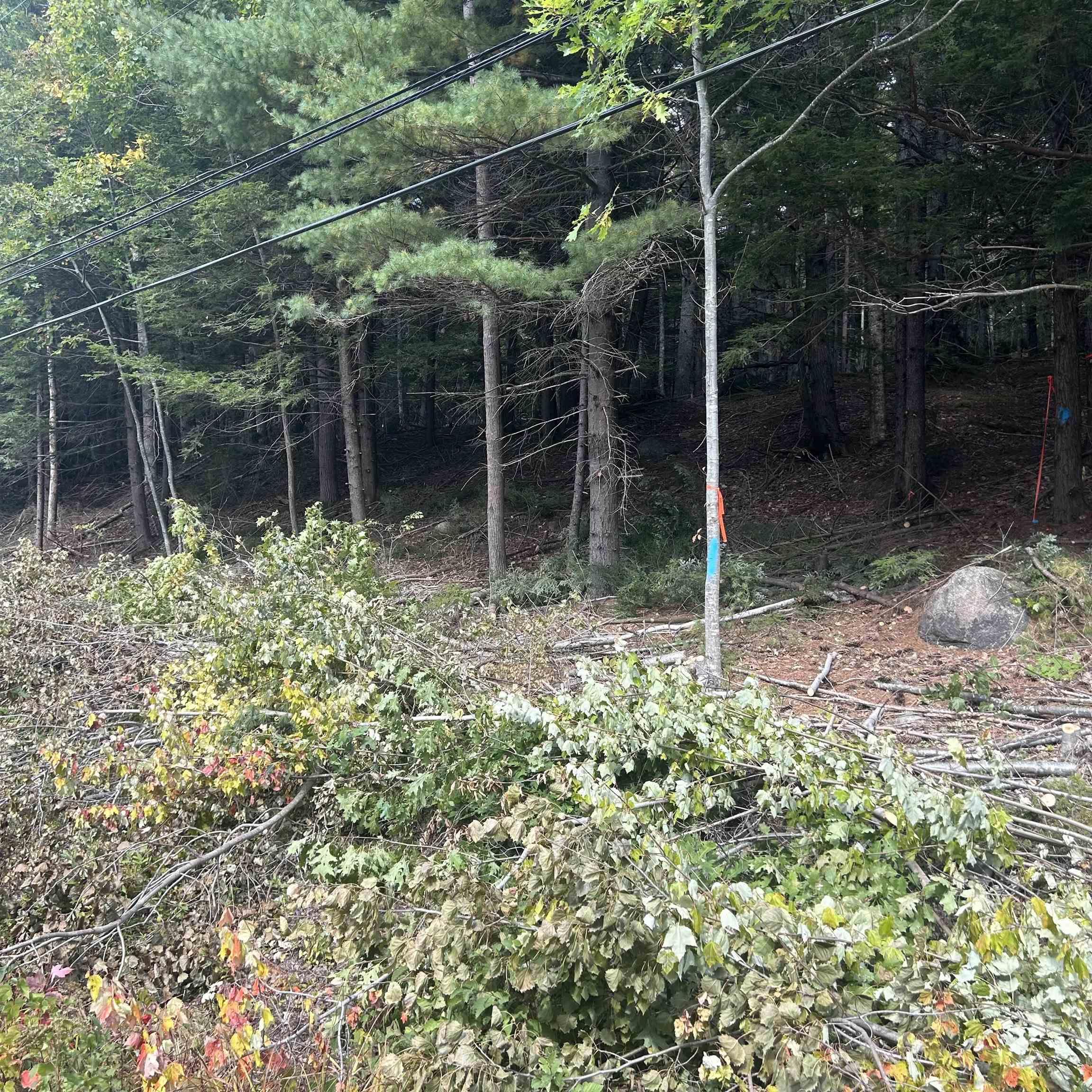 Conquerall Mills Road Lot 25-3 - Photo 2