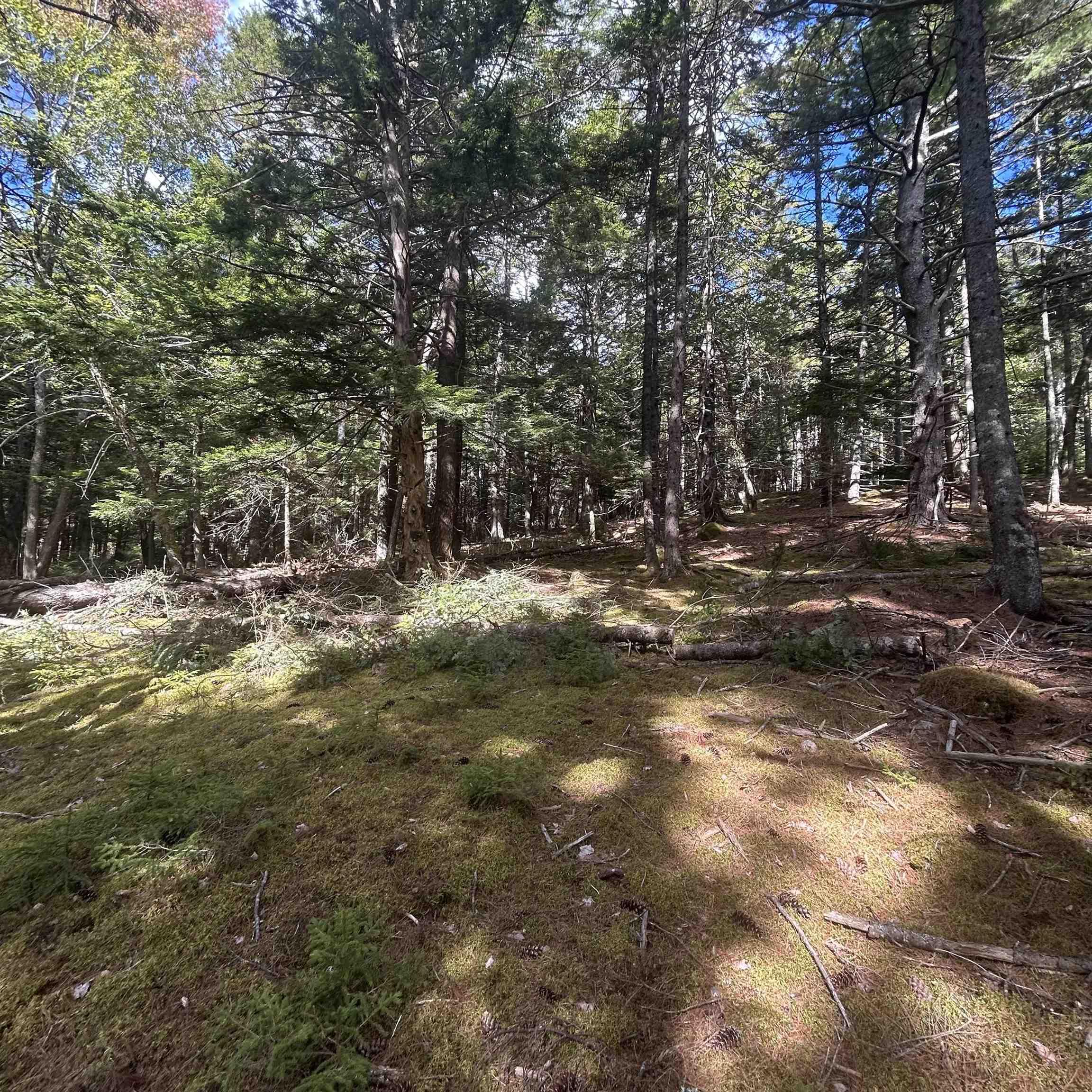 Conquerall Mills Road Lot 25-3 - Photo 4