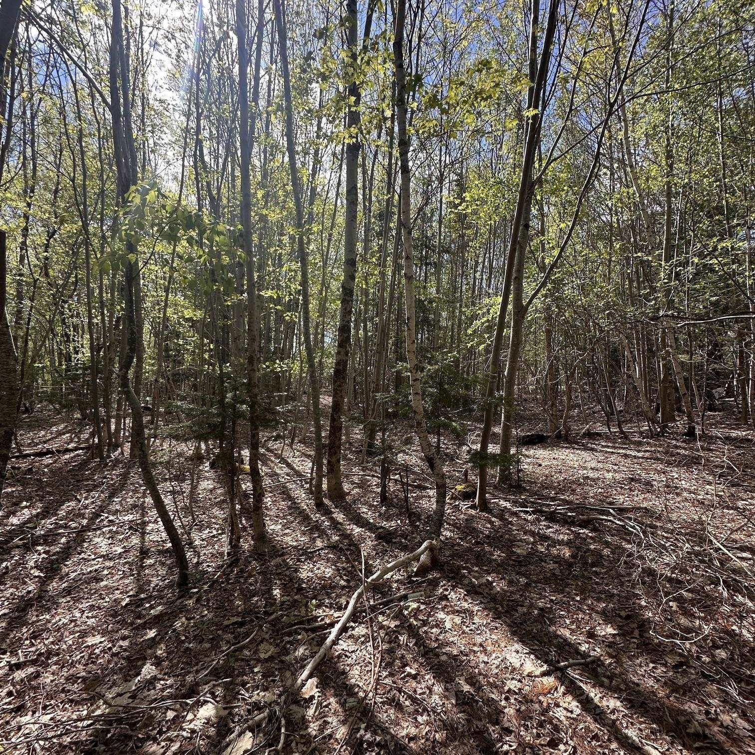 76 Wellington Road - Photo 3