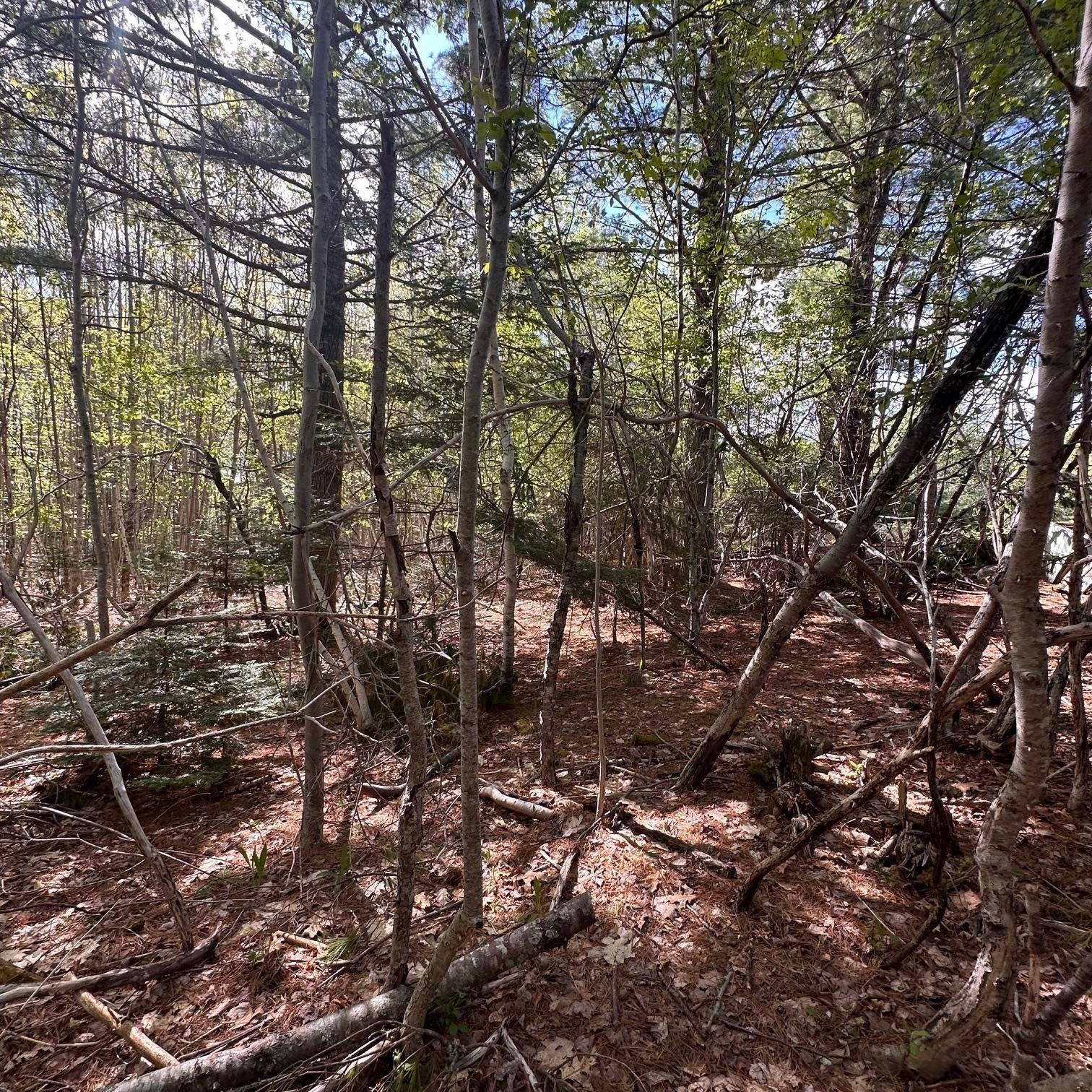76 Wellington Road - Photo 4