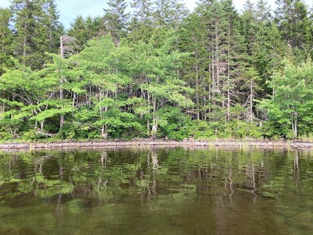 Photo 1 of 12 — 0 Lac A Pic Road, East Quinan, NS B0W 3M0