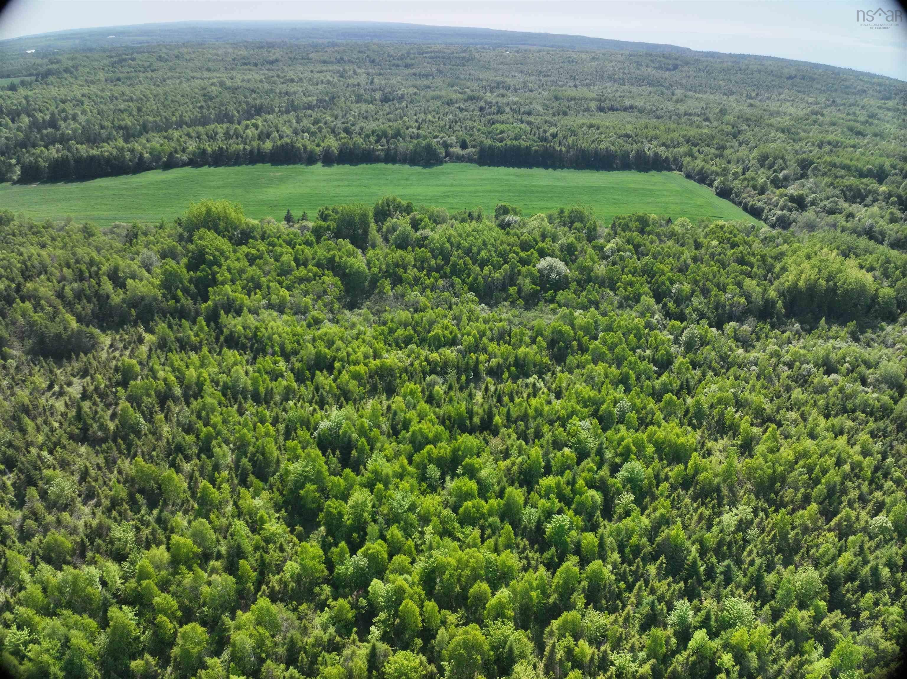 Baxters Harbour Road Lot 6 - Photo 4