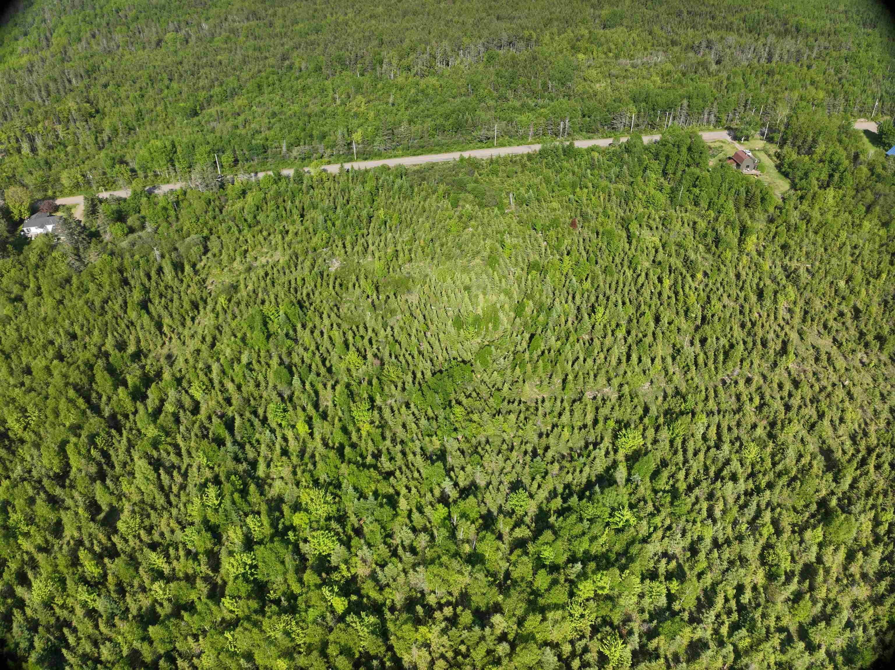 Baxters Harbour Road Lot 6 - Photo 3