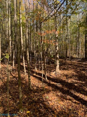 T C WALKER RD, GLOUCESTER, VA 23061 - Image 23b5d87754ed058b8ce45c7b24251391/3243682149