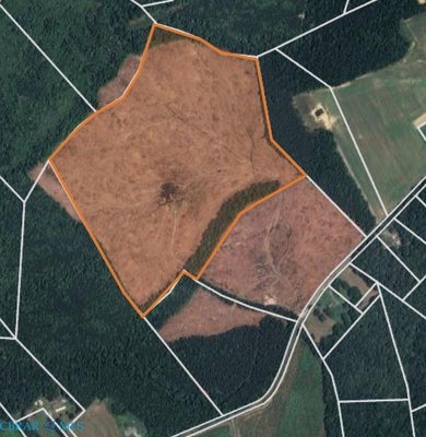 133 PLAIN VIEW LN, SHACKLEFORDS, VA 23156 - Image f42e6bbf6bc4d976cbbf39b54f31ecc1/4233294227