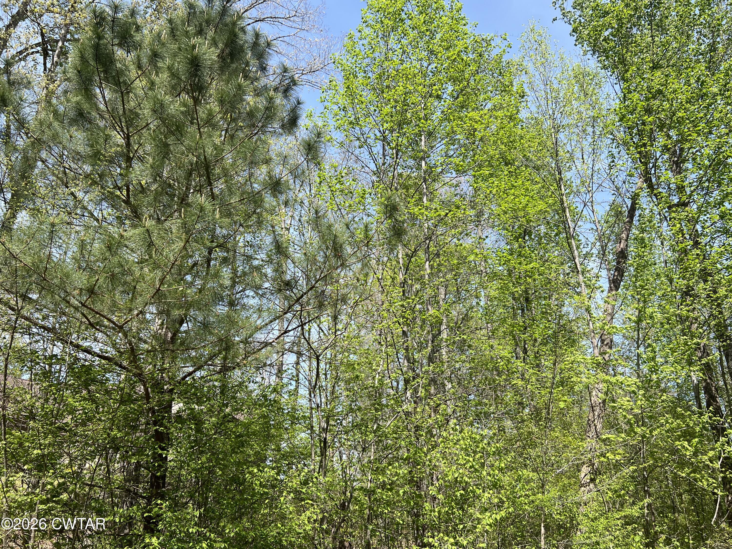 00 Excalibur Trail (Lot 243) Trail