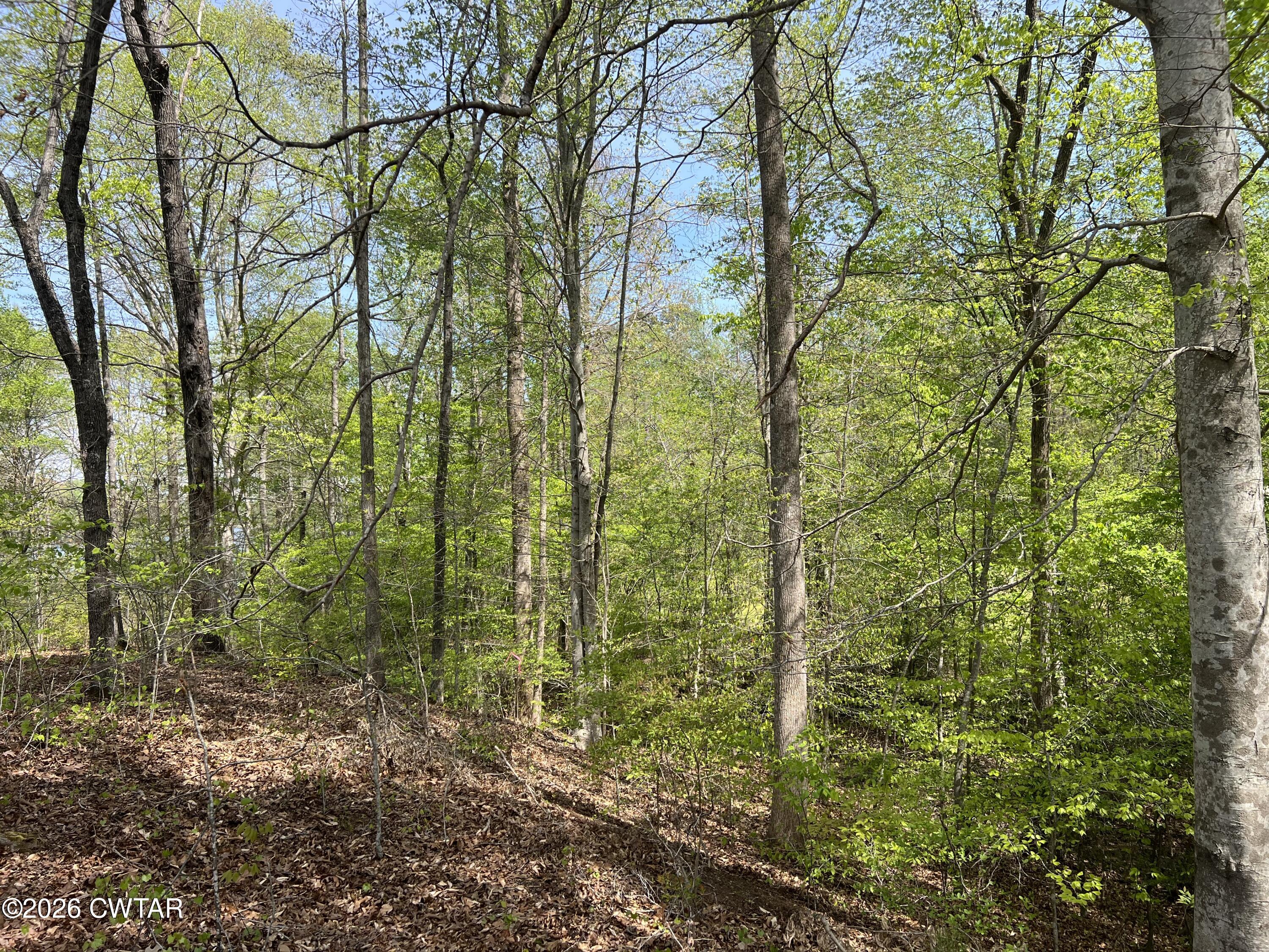 00 Excalibur Trail (Lot 243) Trail