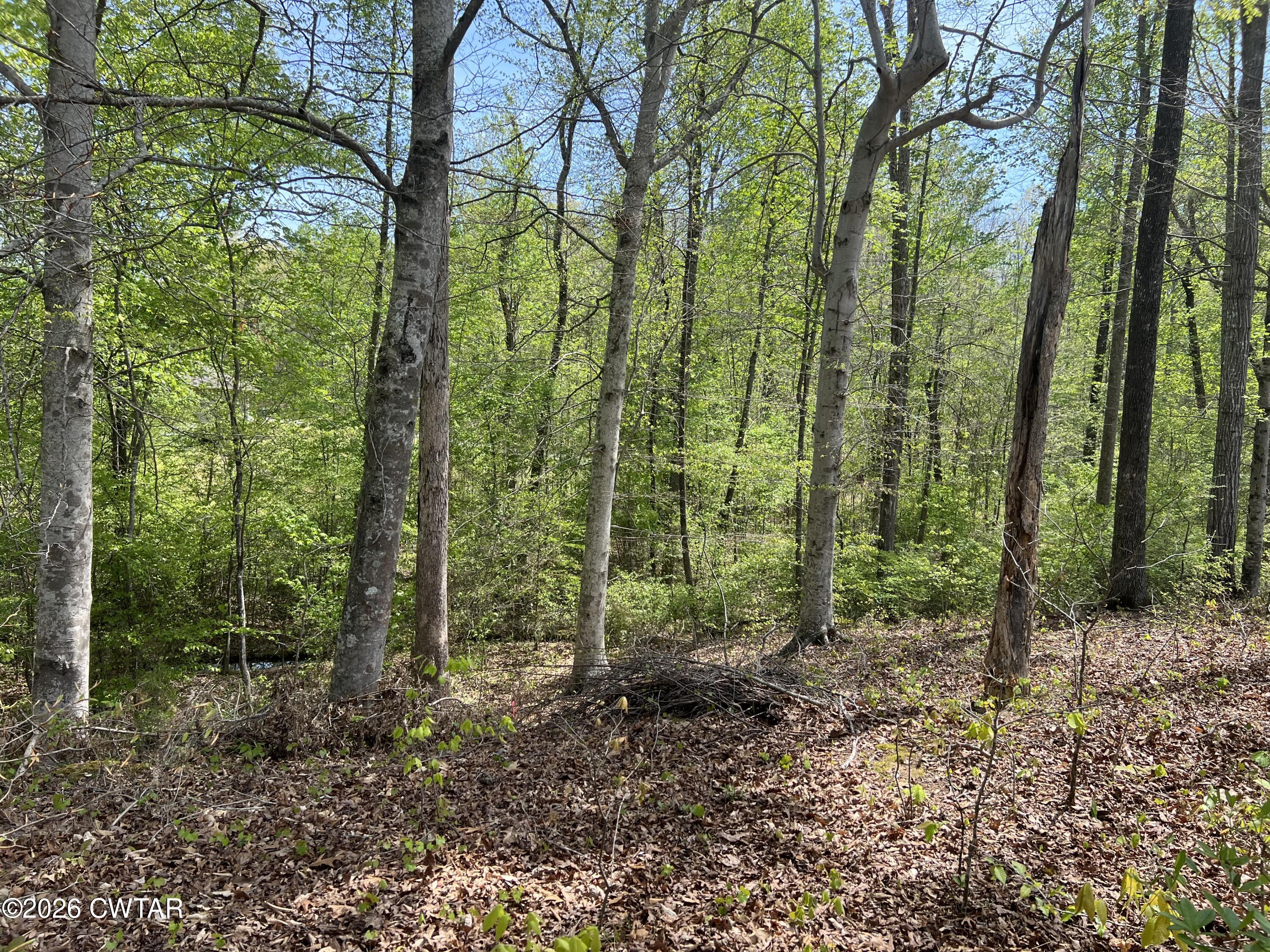 00 Excalibur Trail (Lot 243) Trail