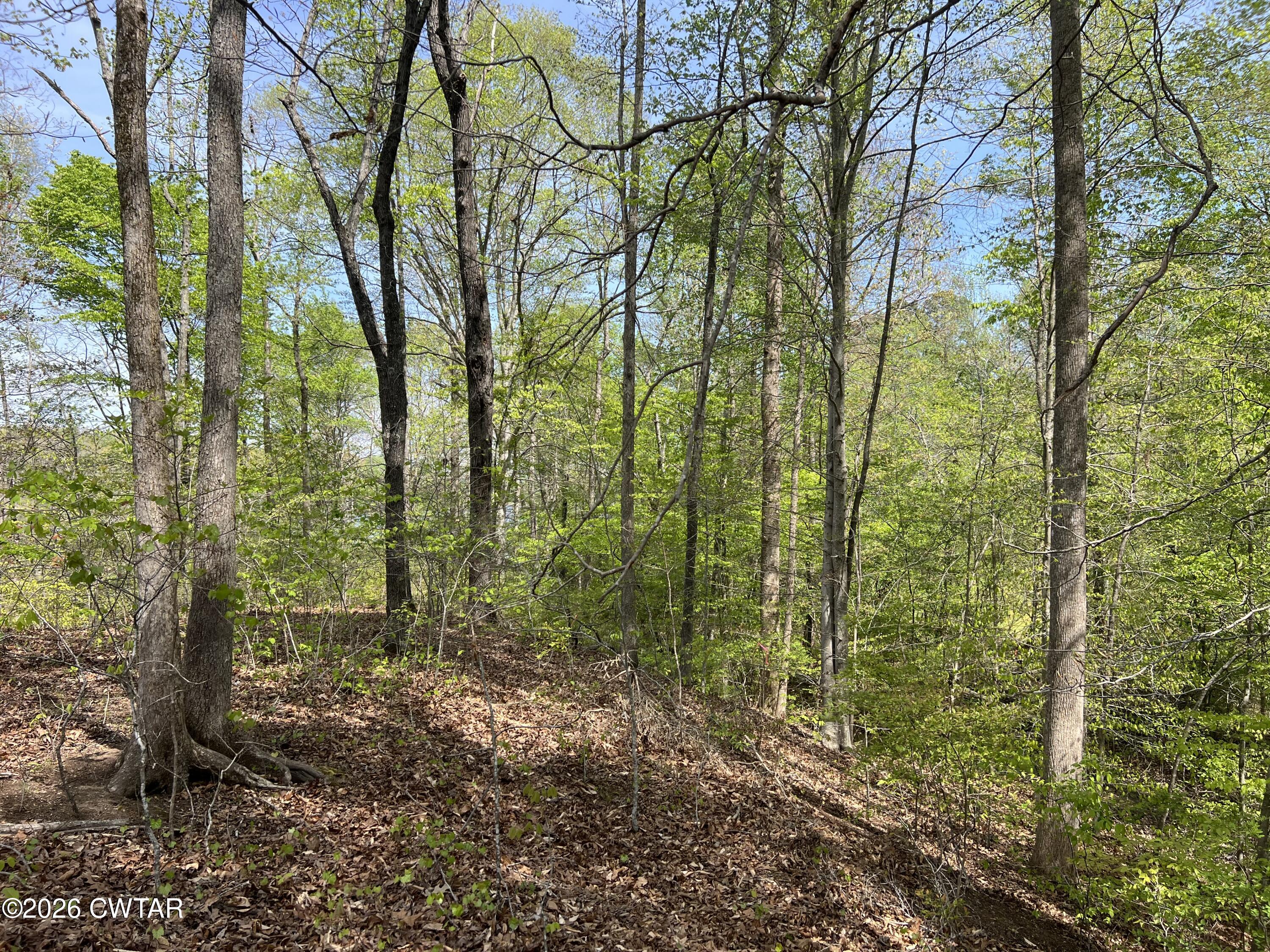 00 Excalibur Trail (Lot 243) Trail