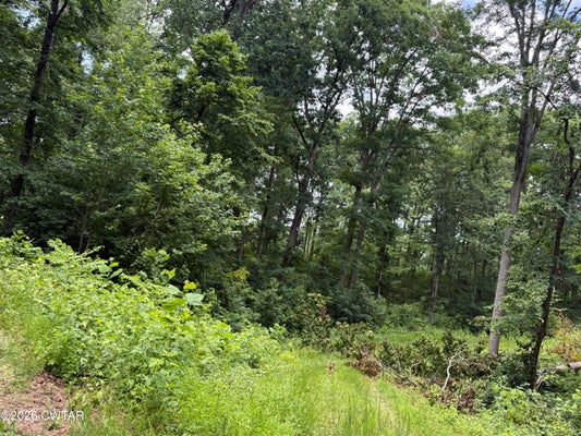 E HILLS DR, CAMDEN, TN 38320 - Image 0617841b4b674409b92f8835d3432568/3097618975
