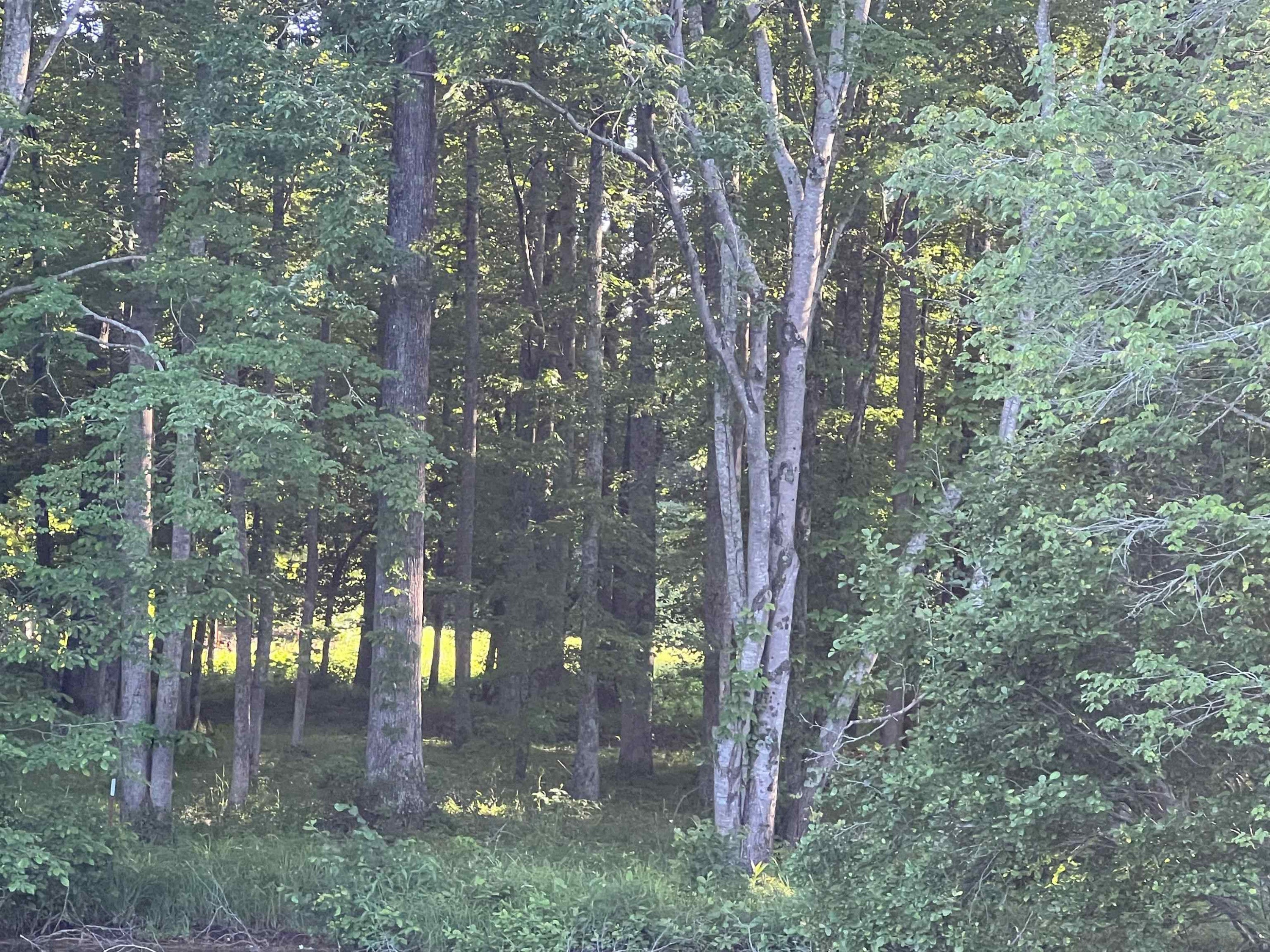 0 Excalibur Trail (Lot 234)