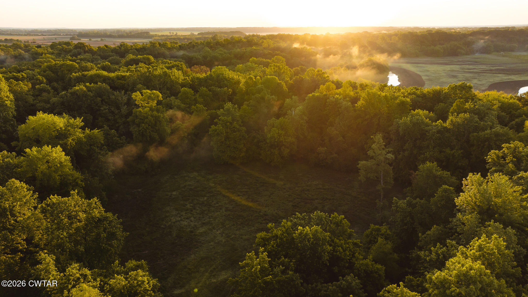0 Obion River & 10229 Millsfield Highway